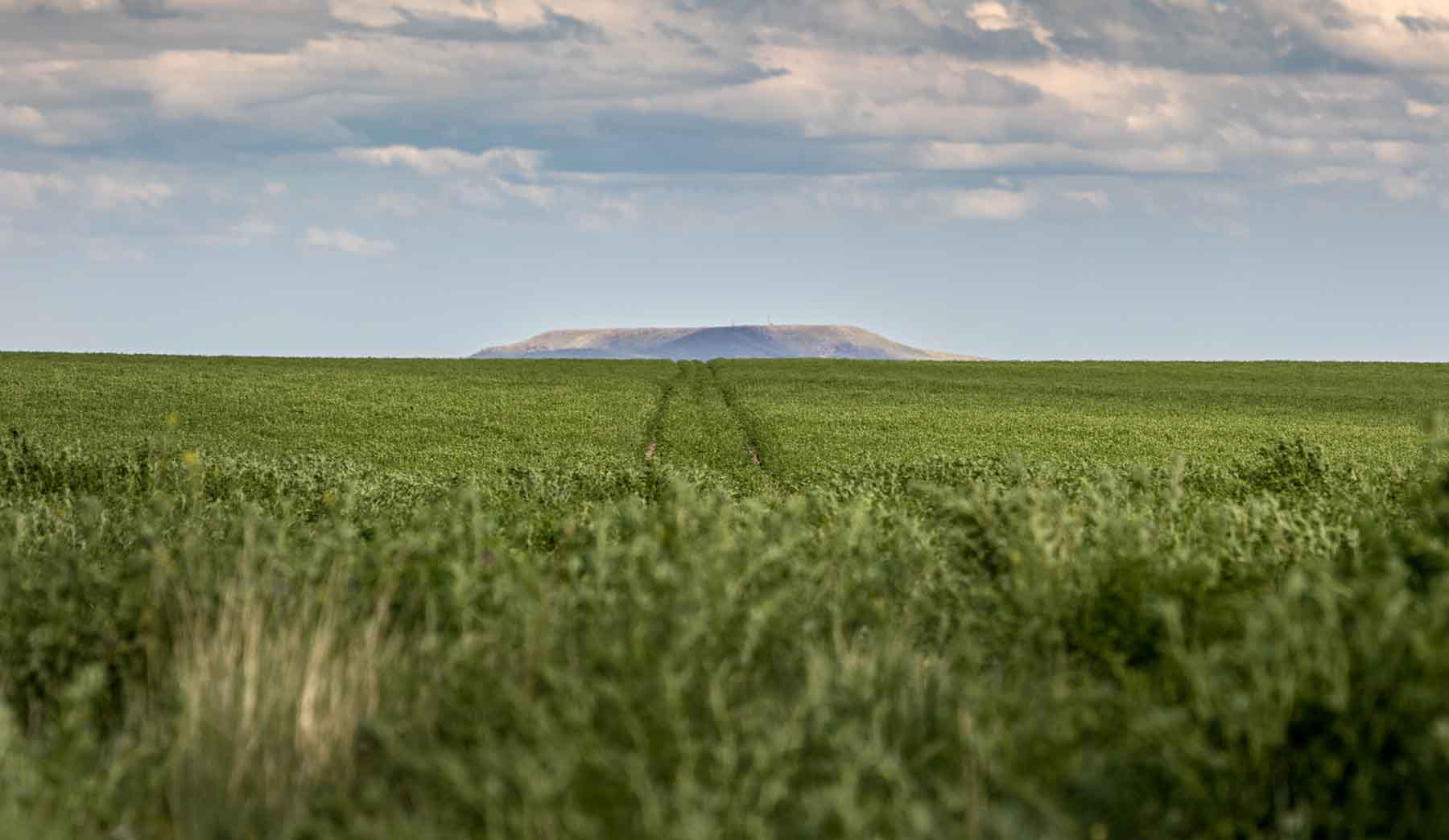 Deep Creek Cattle Company property picture 6 of 38