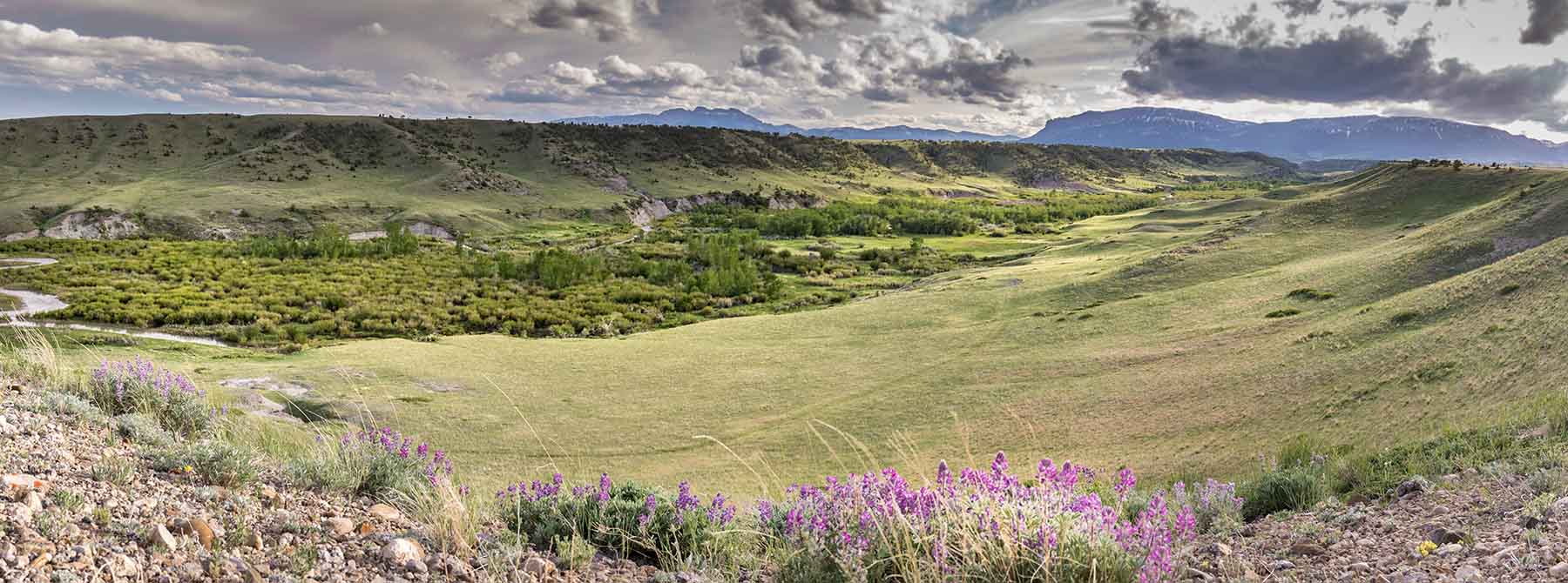 Deep Creek Cattle Company property picture 4 of 38