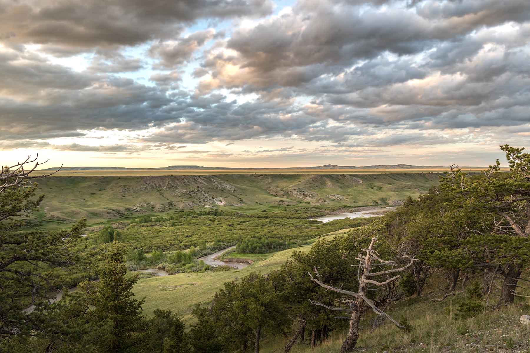 Deep Creek Cattle Company property picture 14 of 38