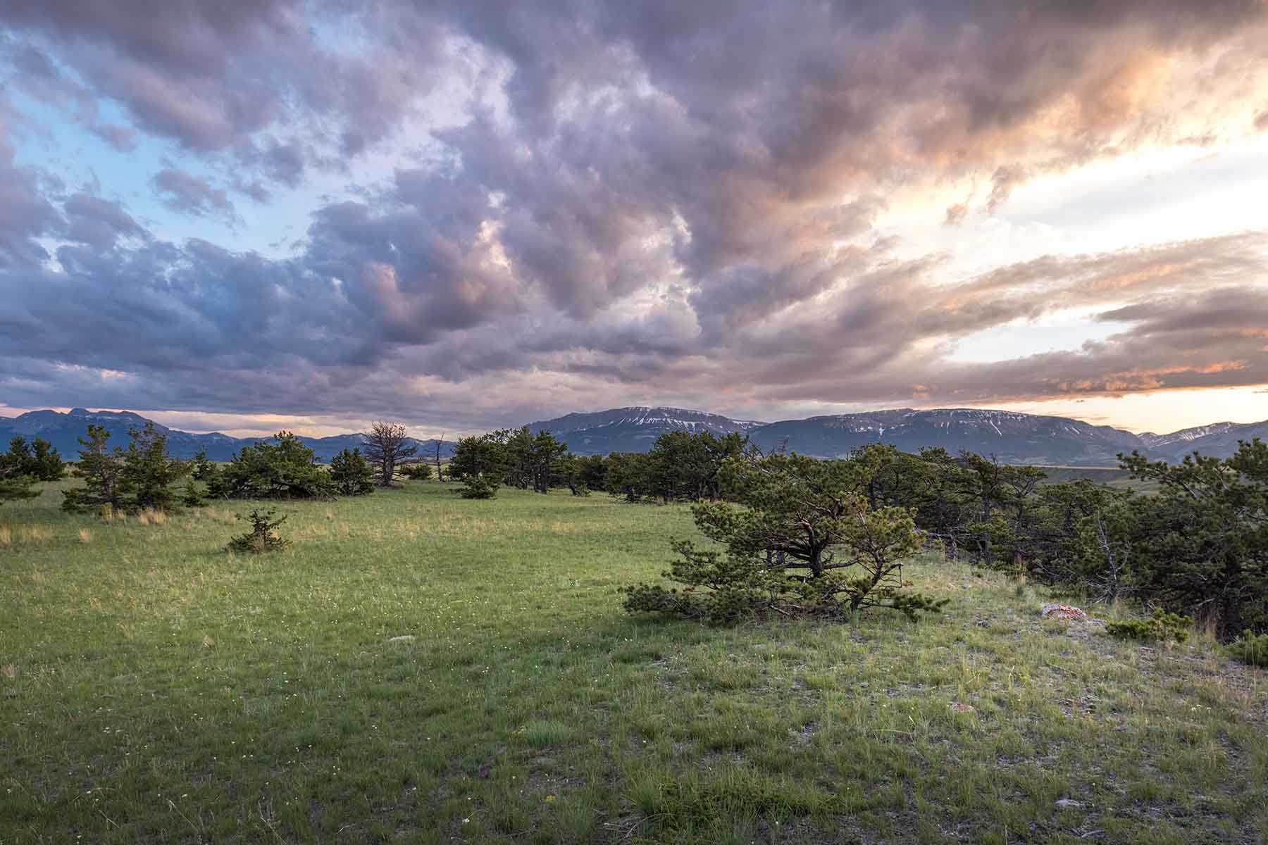Deep Creek Cattle Company property picture 3 of 38