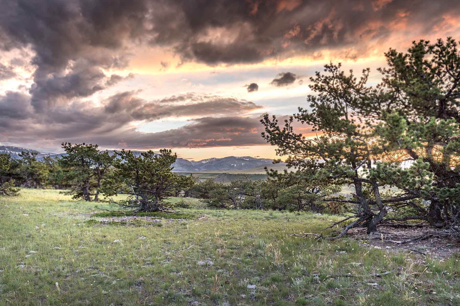 Deep Creek Cattle Company property picture 10 of 38