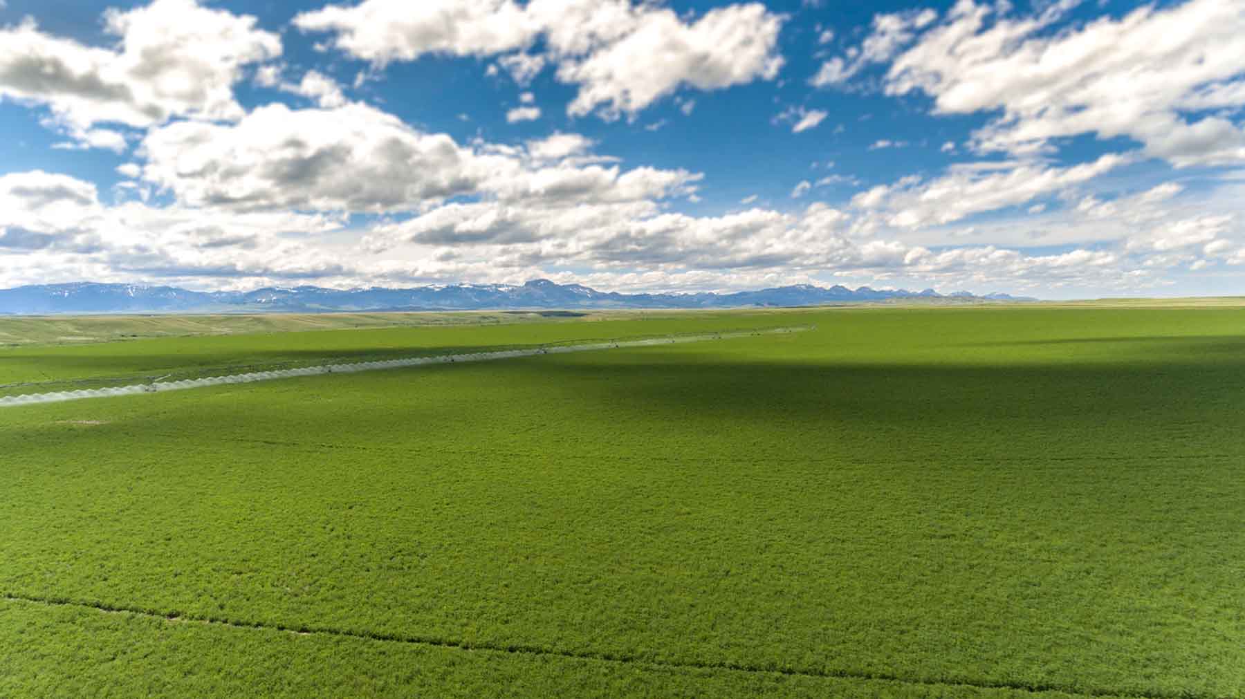 Deep Creek Cattle Company property picture 23 of 38