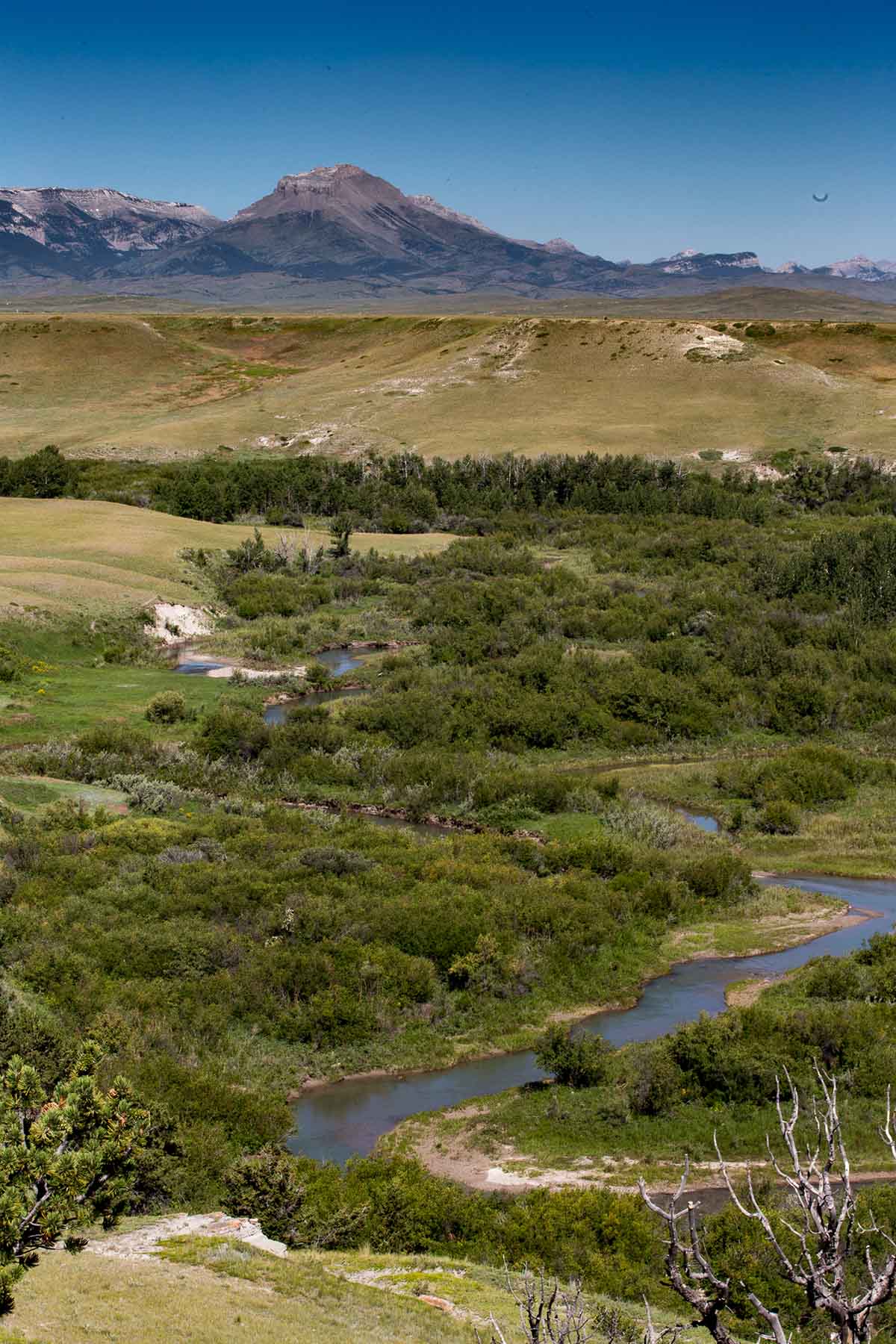 Deep Creek Cattle Company property picture 18 of 38