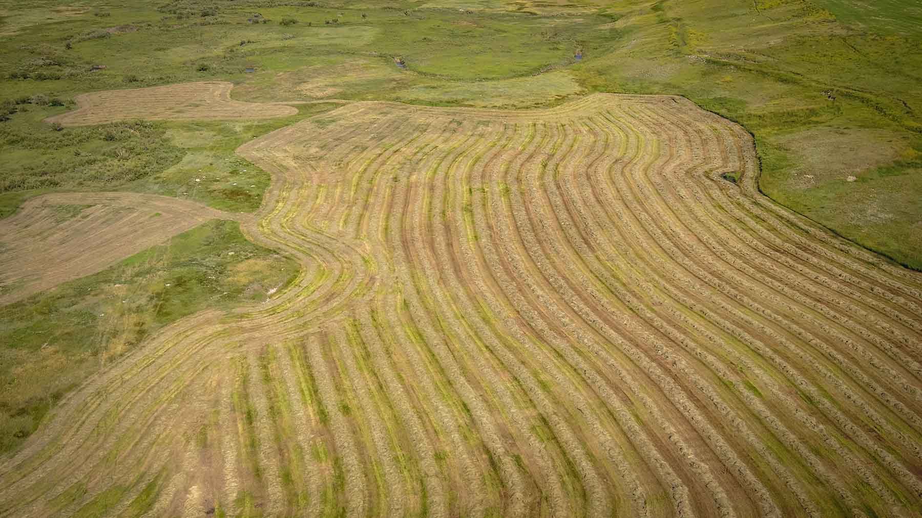 Deep Creek Cattle Company property picture 7 of 38