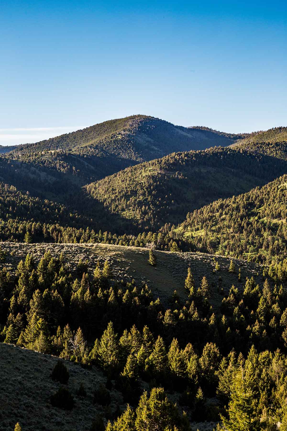 MTX Ranch property picture 23 of 44