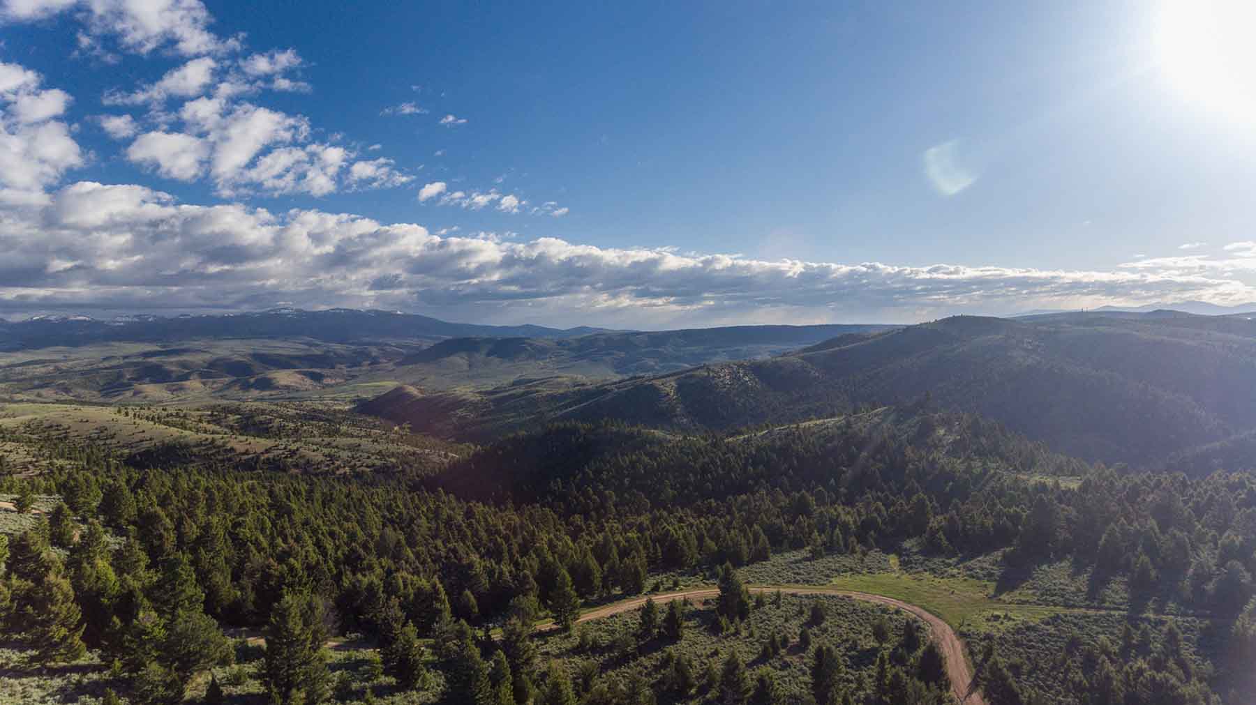 MTX Ranch property picture 12 of 44