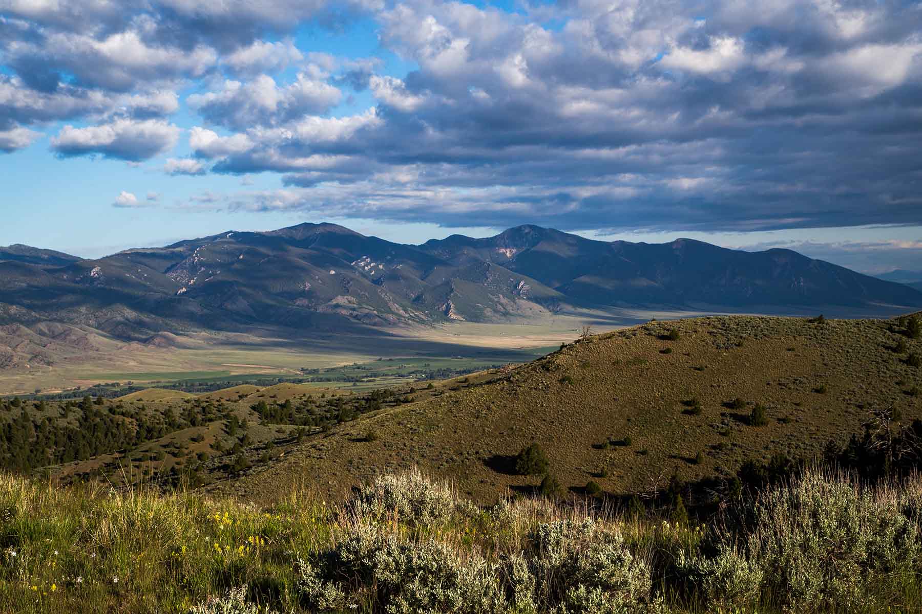 MTX Ranch property picture 9 of 44