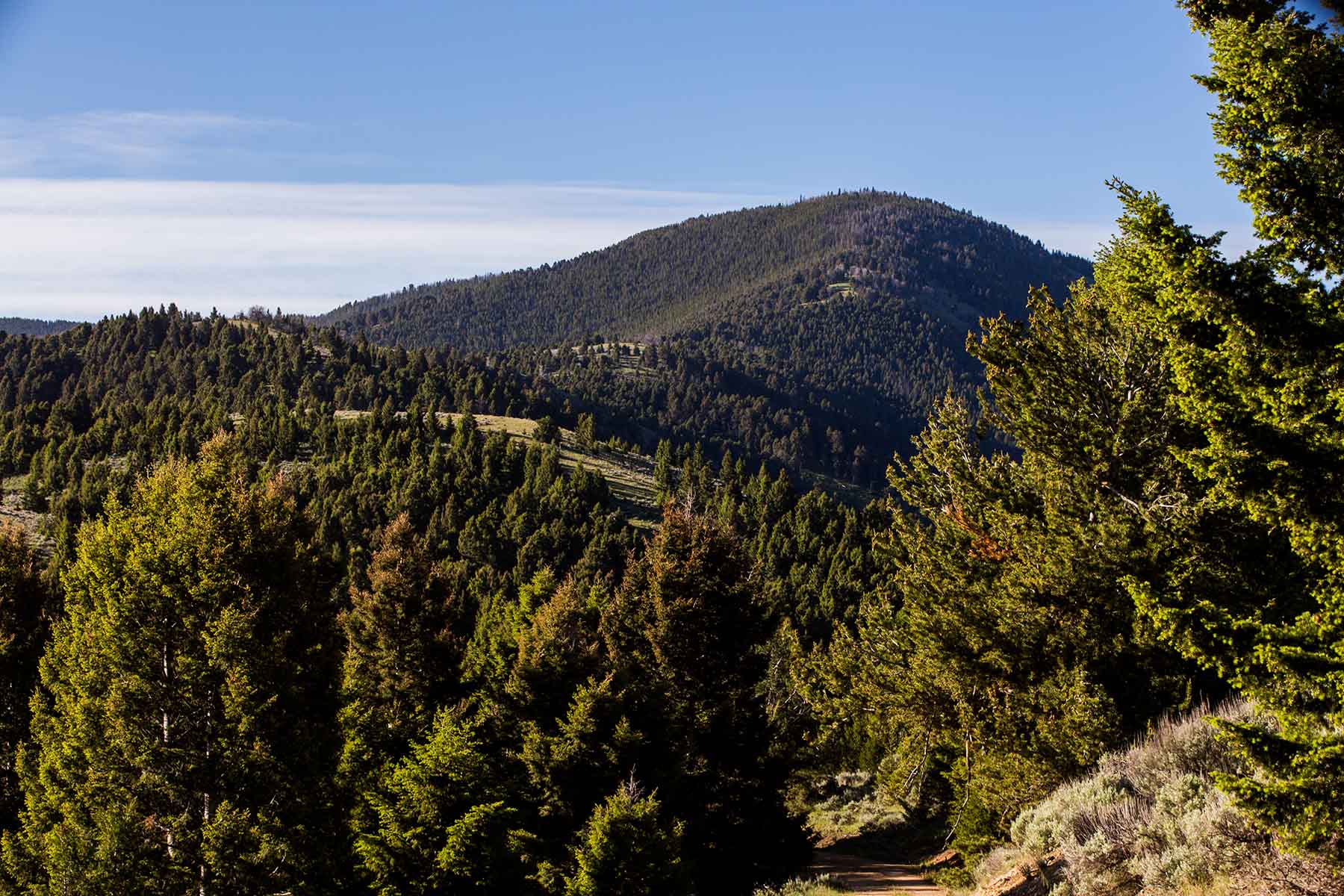 MTX Ranch property picture 40 of 44