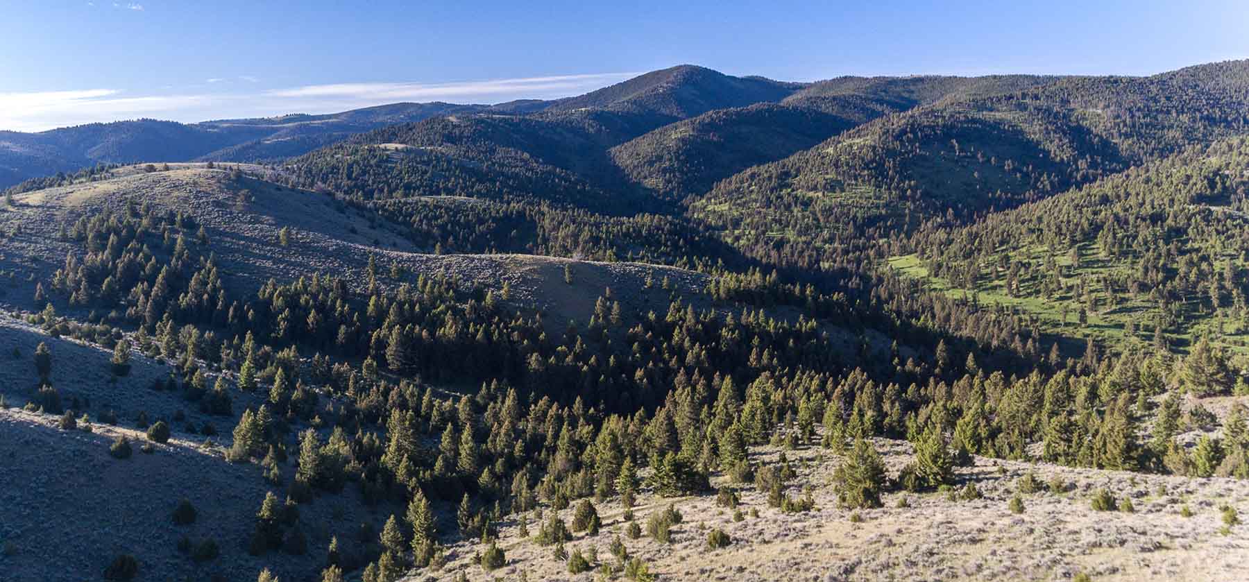 MTX Ranch property picture 19 of 44