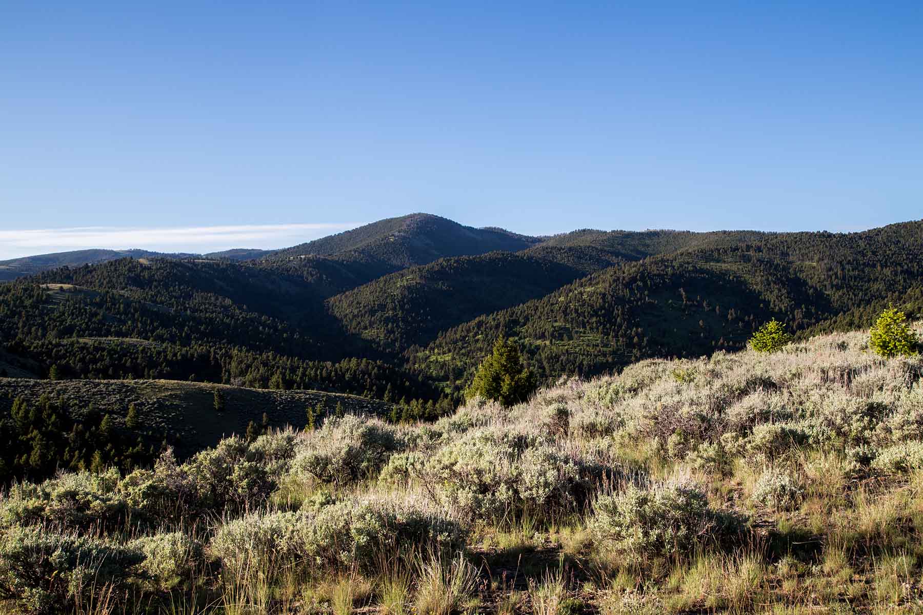 MTX Ranch property picture 8 of 44