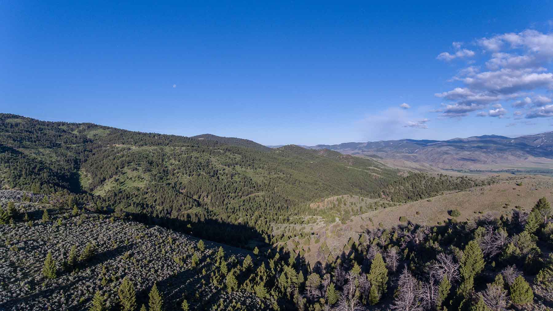 MTX Ranch property picture 18 of 44