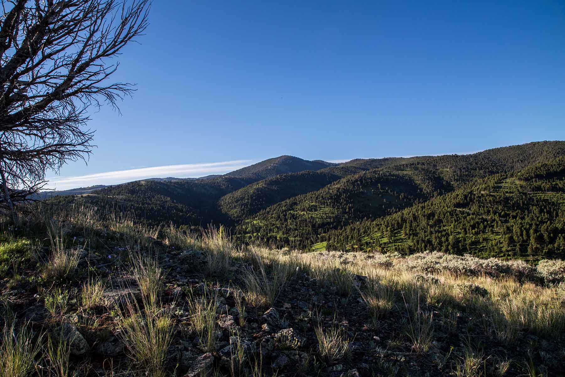 MTX Ranch property picture 43 of 44