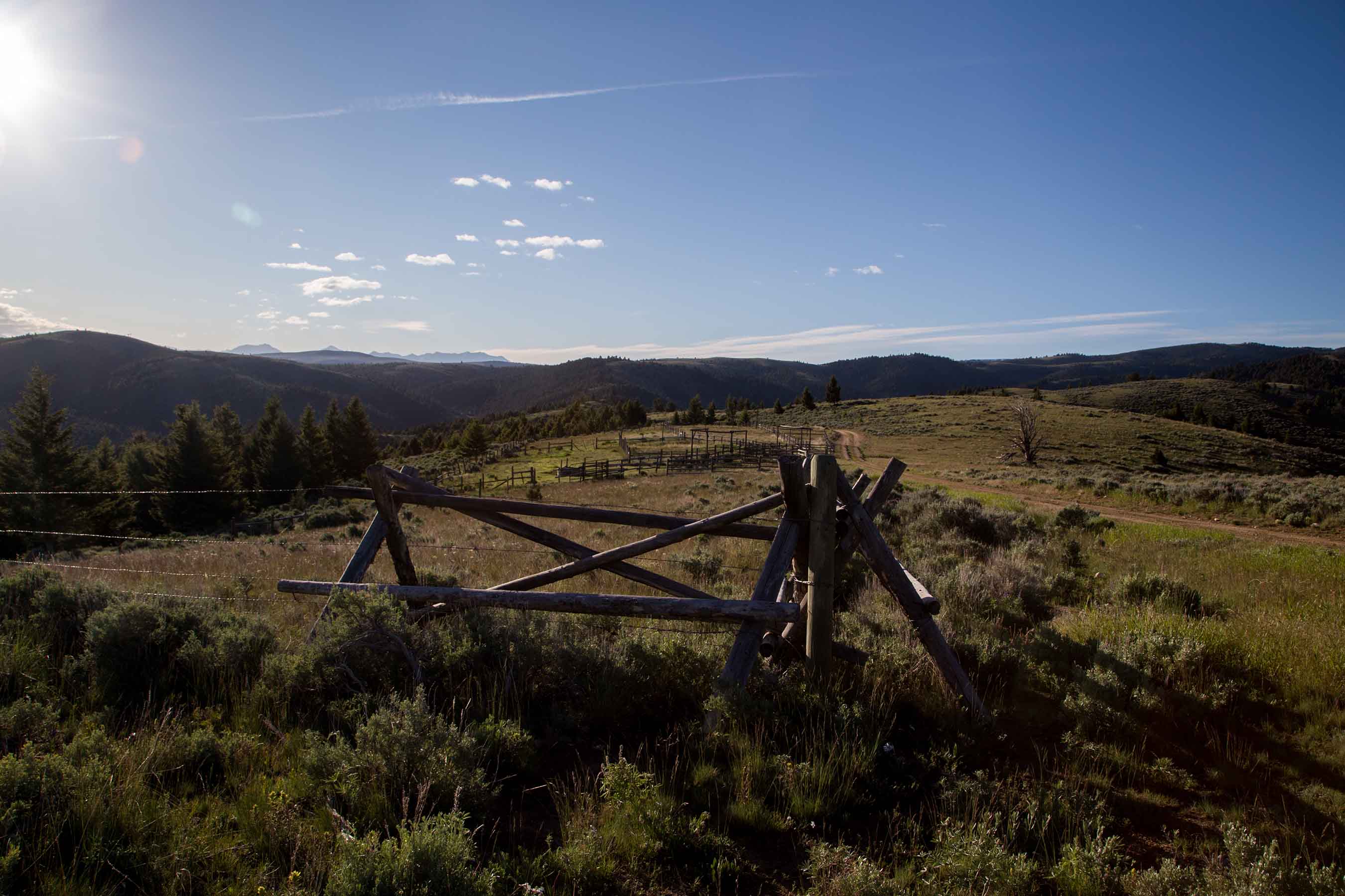 MTX Ranch property picture 11 of 44