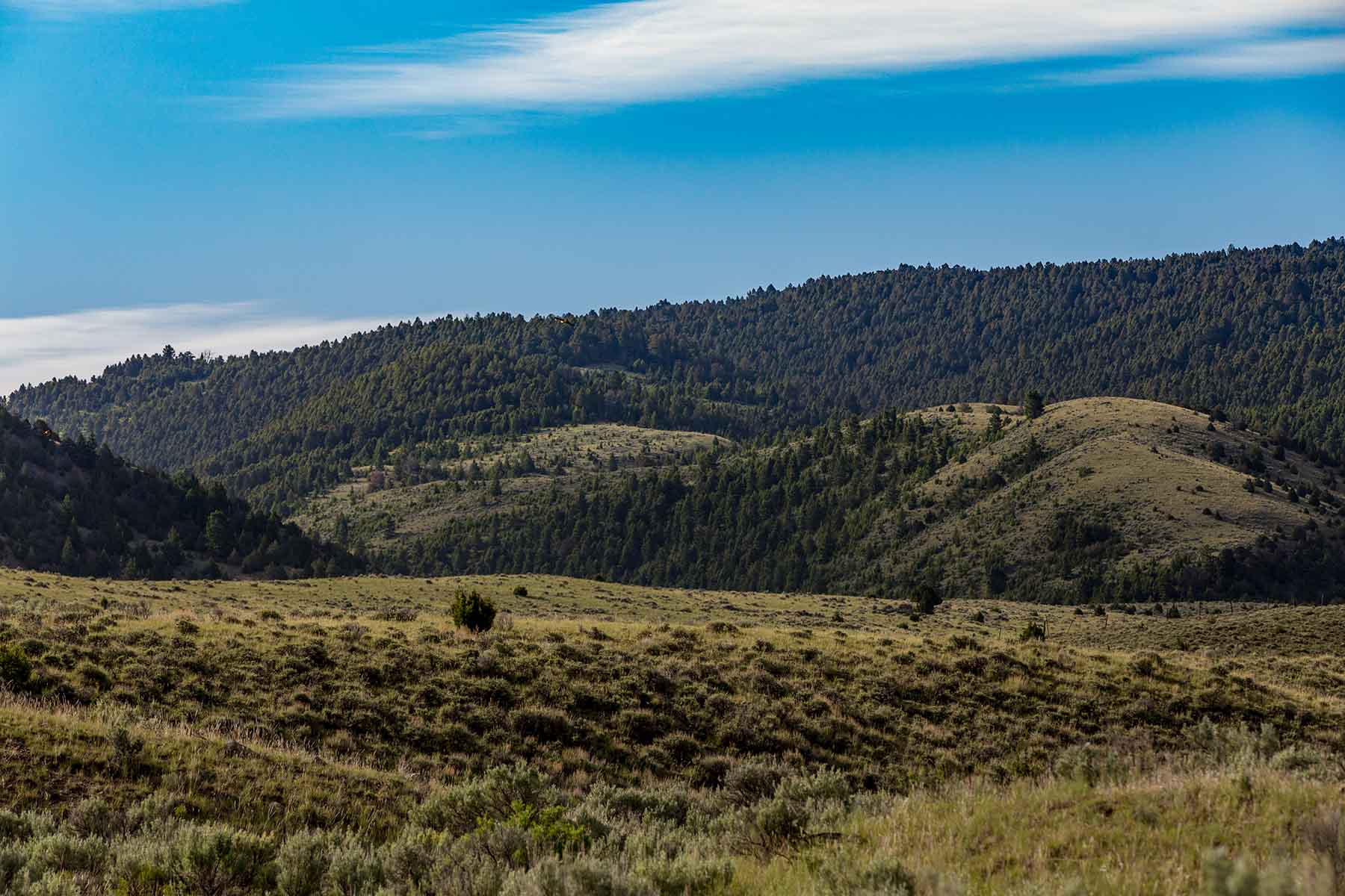 MTX Ranch property picture 41 of 44