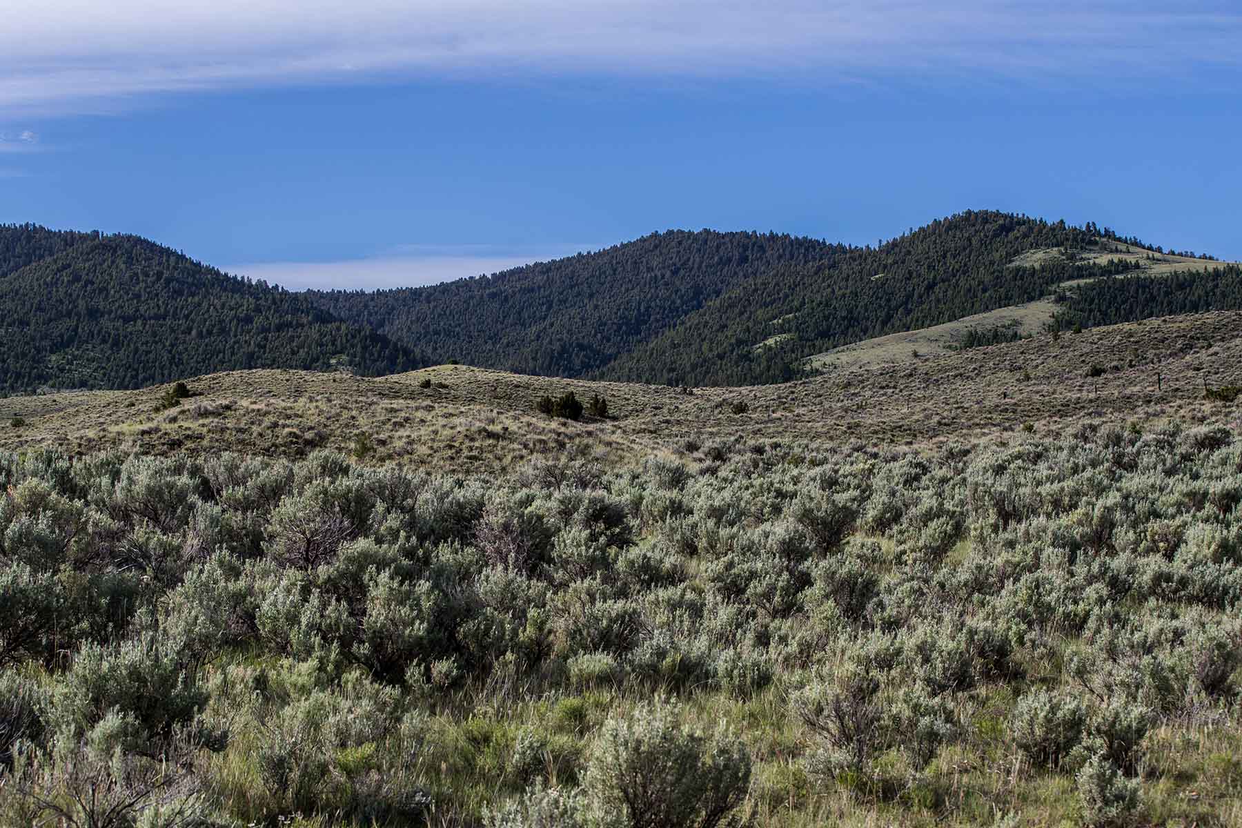 MTX Ranch property picture 38 of 44