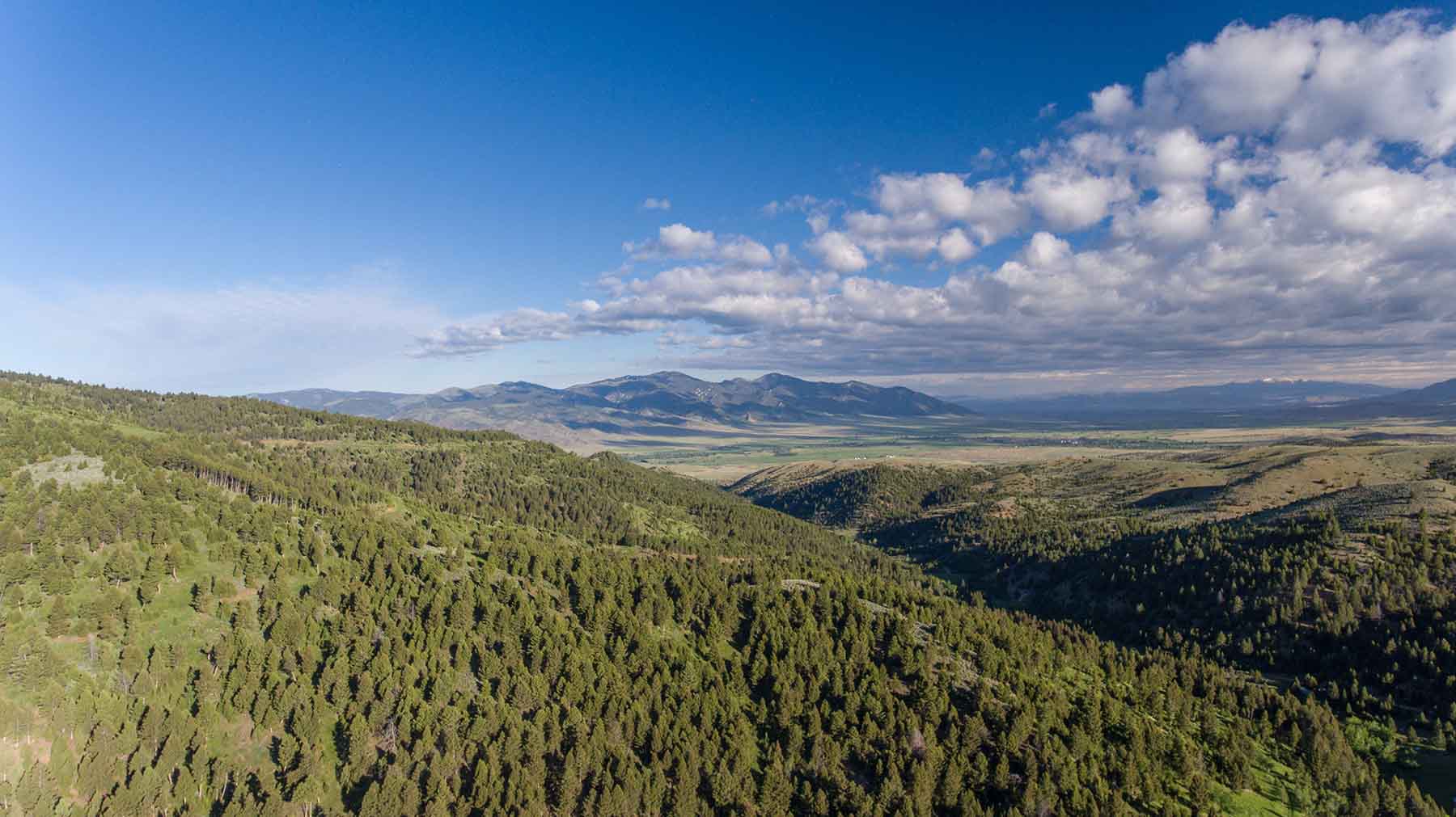 MTX Ranch property picture 20 of 44