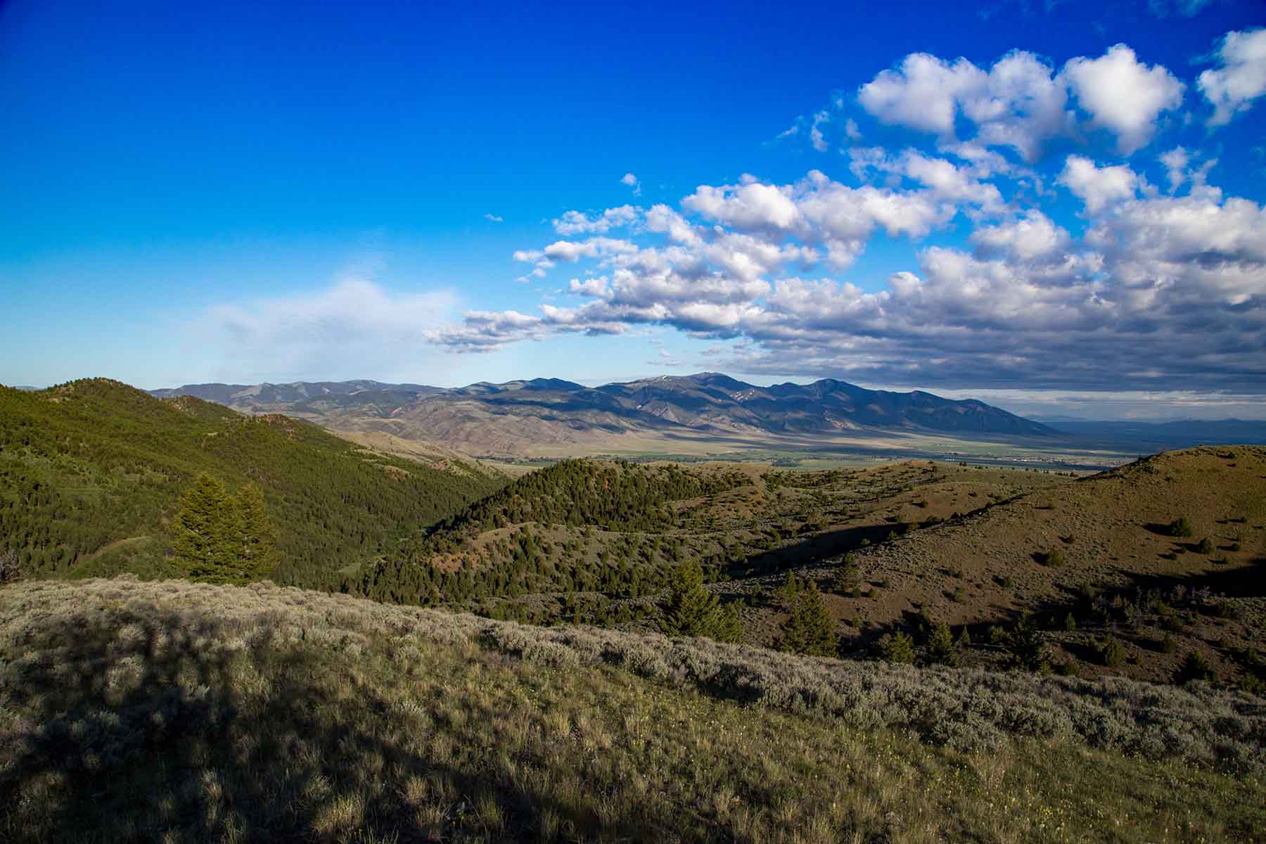 MTX Ranch property picture 30 of 44