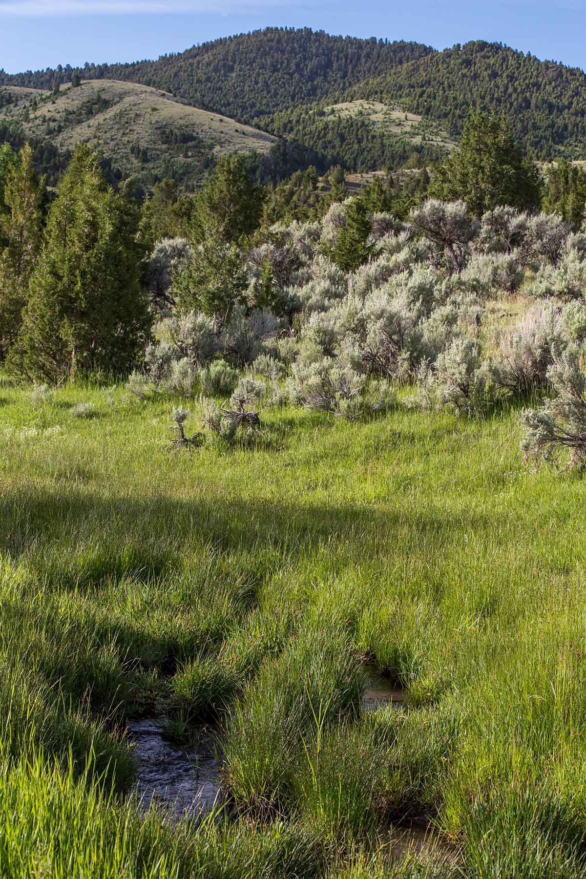 MTX Ranch property picture 5 of 44