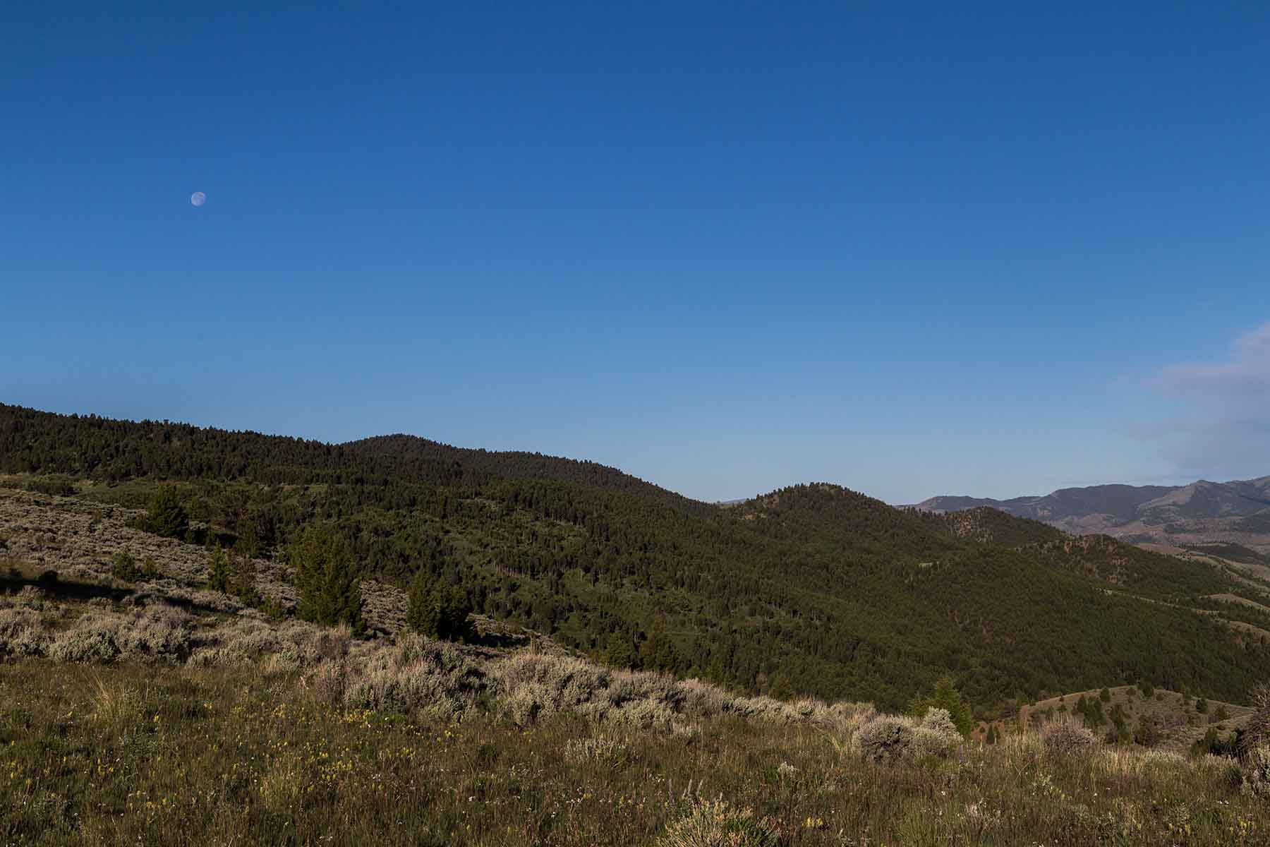 MTX Ranch property picture 22 of 44