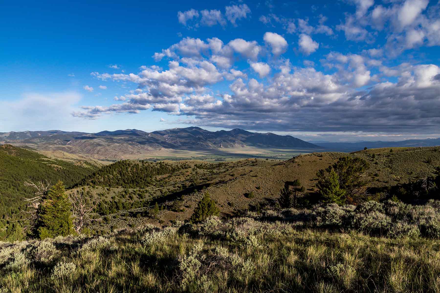 MTX Ranch property picture 24 of 44