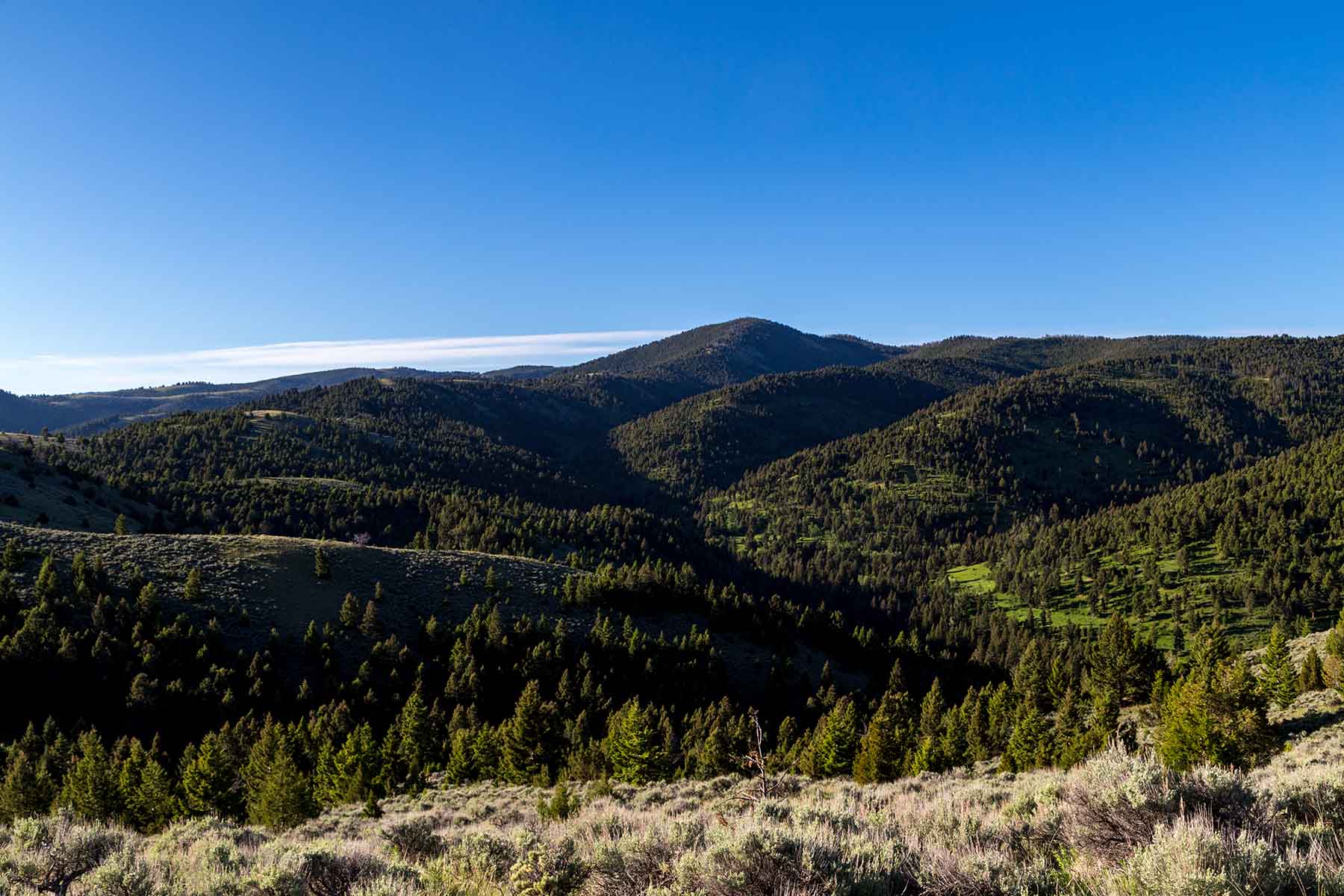 MTX Ranch property picture 28 of 44