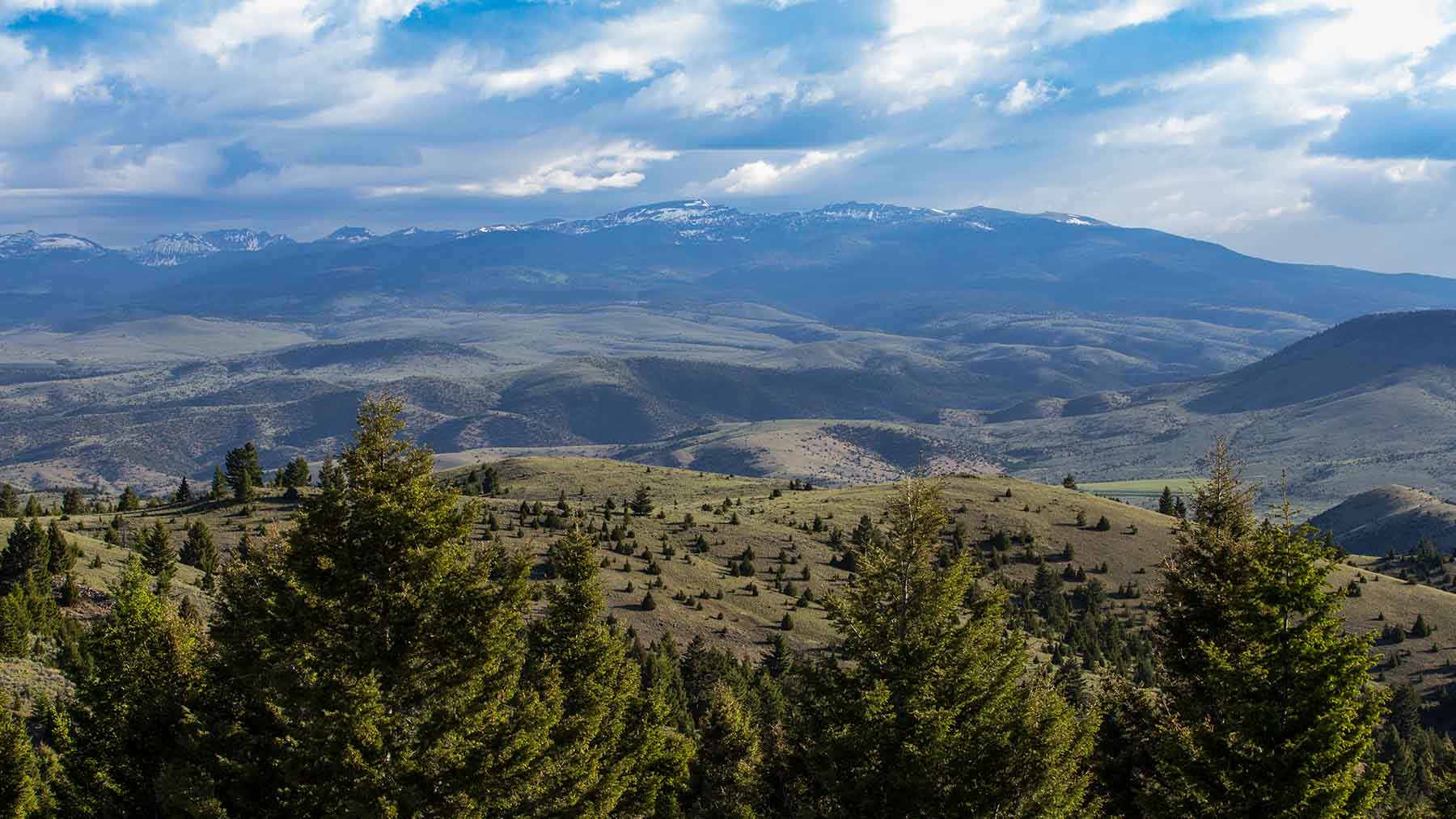 MTX Ranch property picture 39 of 44