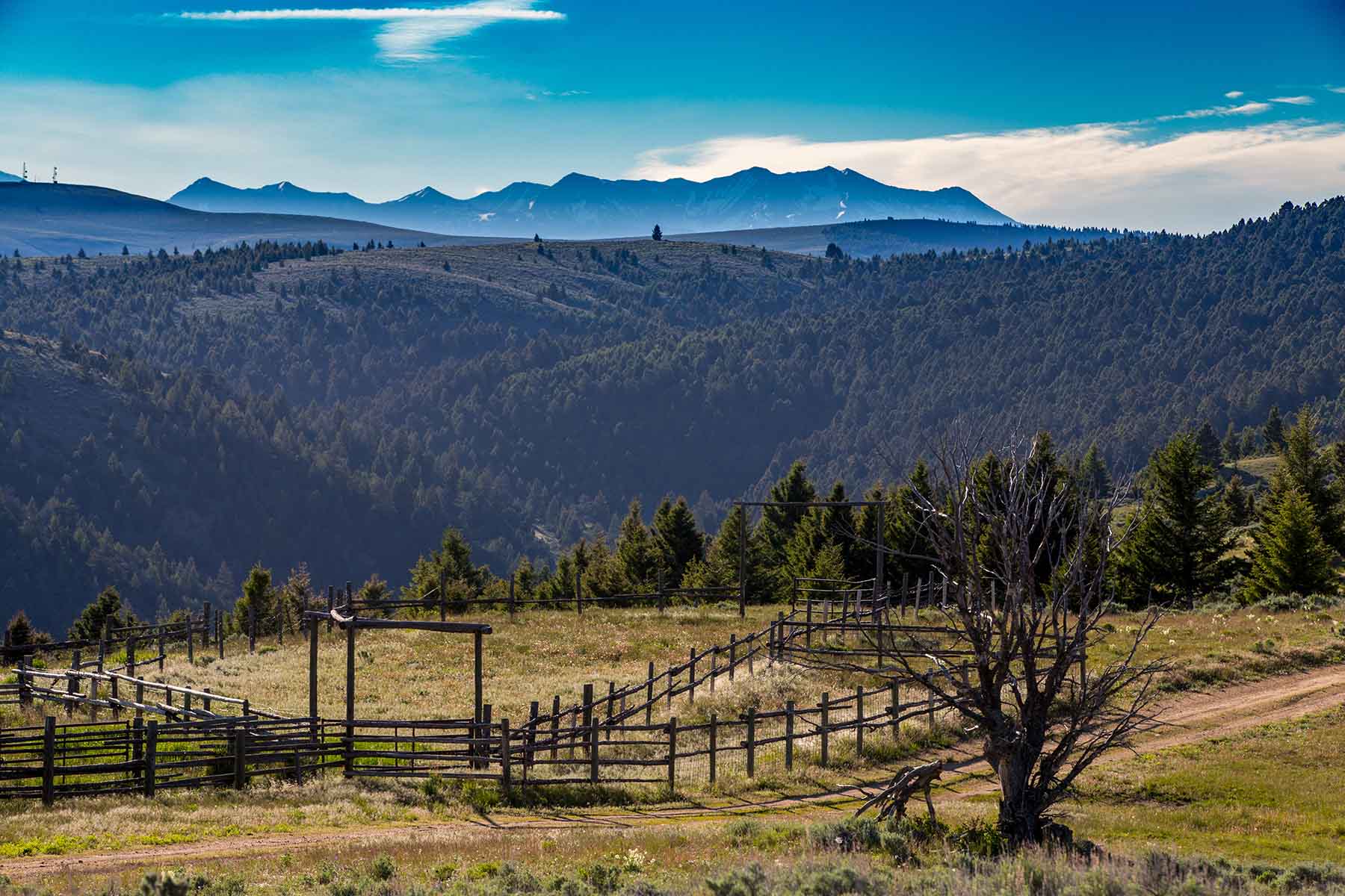 MTX Ranch property picture 3 of 44