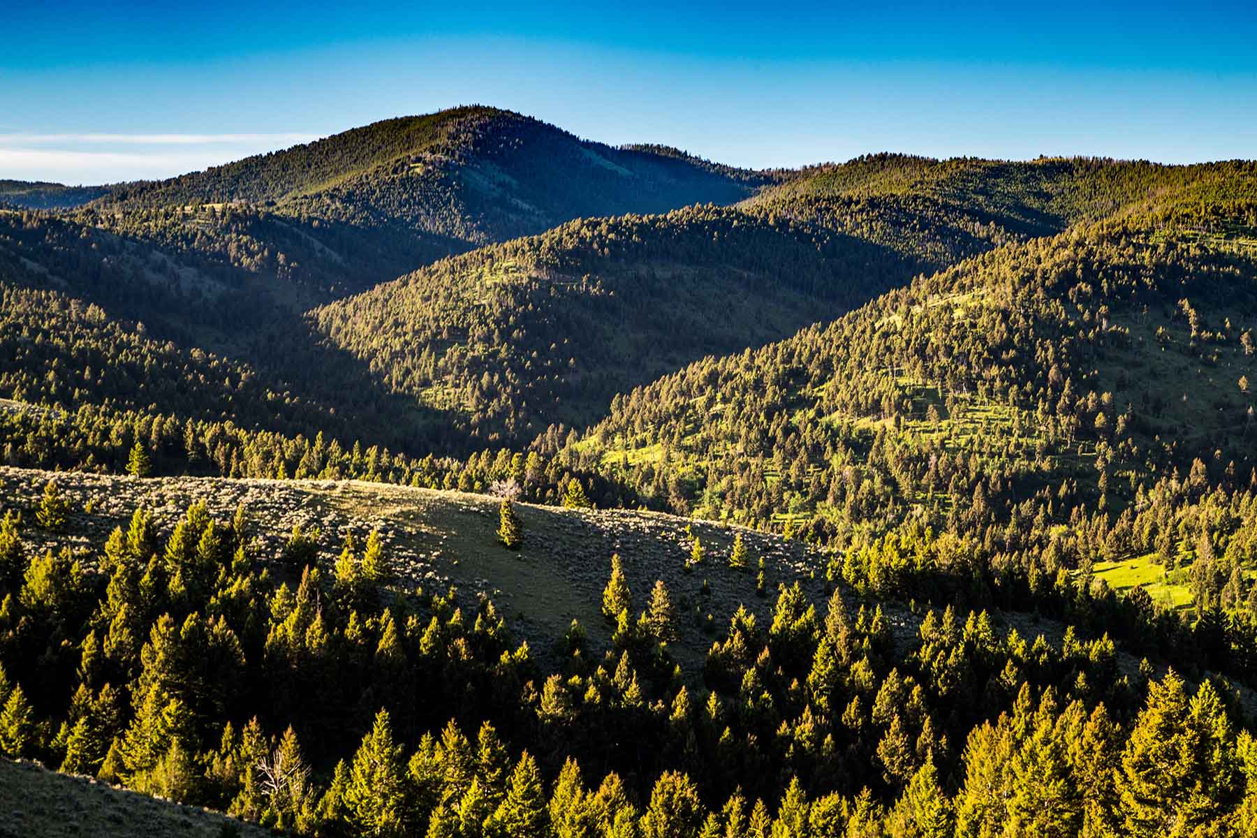 MTX Ranch property picture 7 of 44