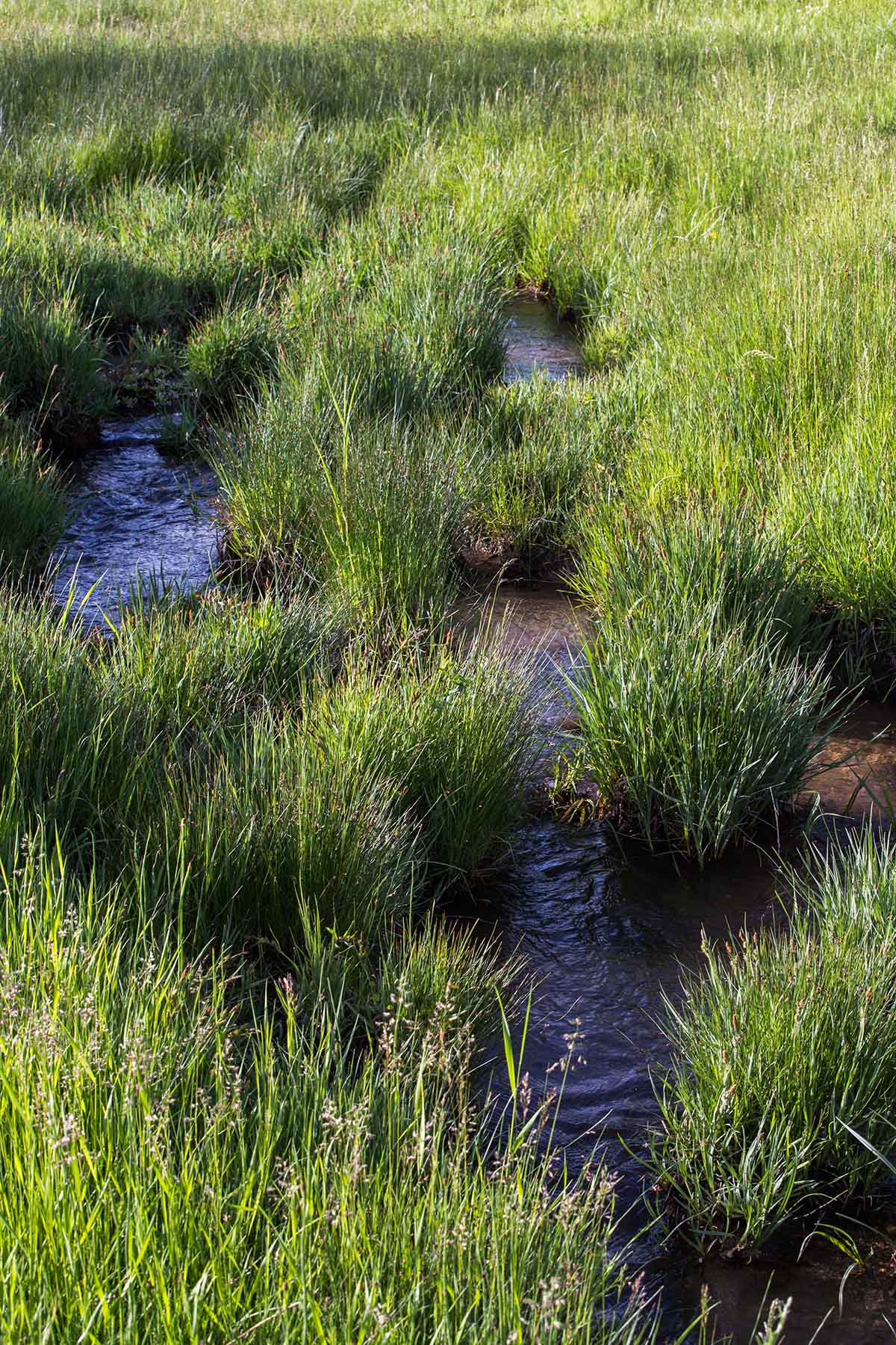 MTX Ranch property picture 29 of 44