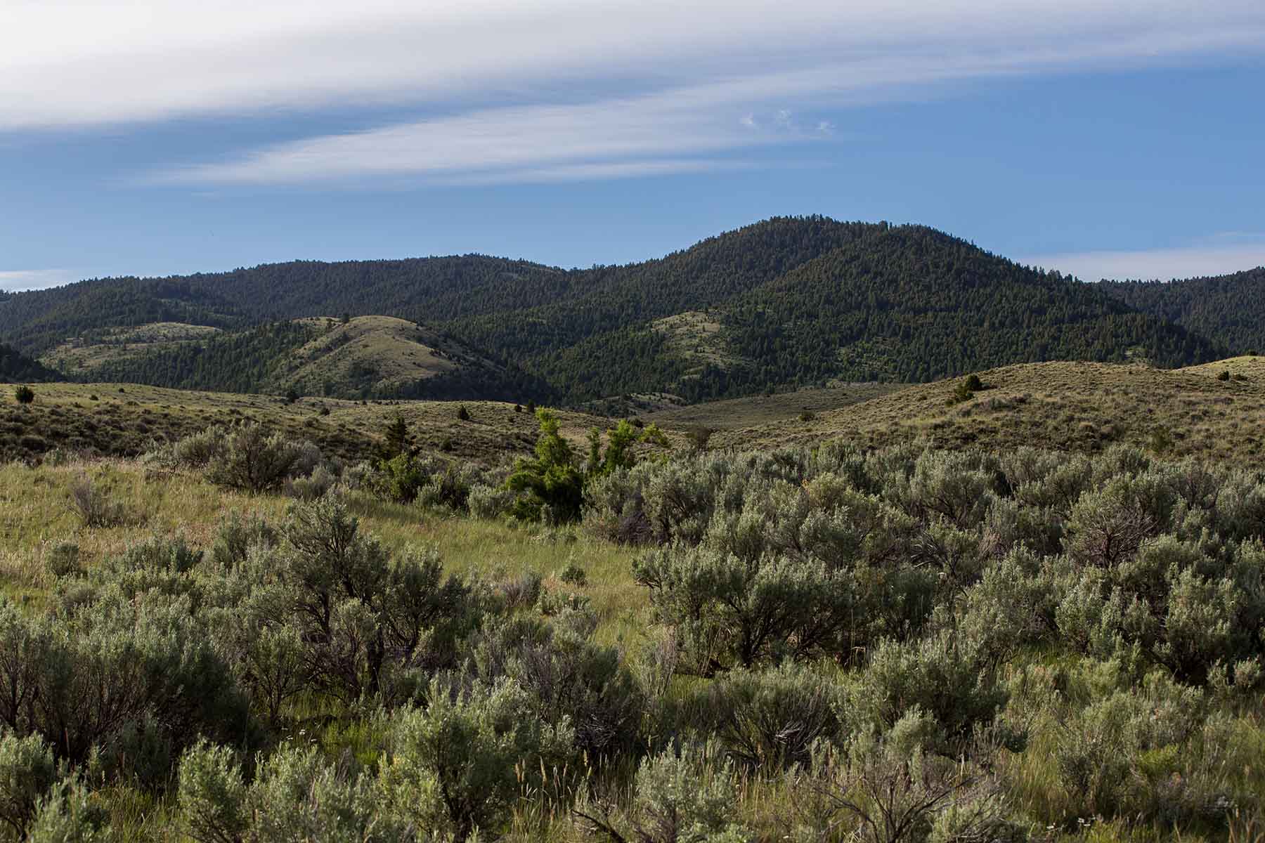 MTX Ranch property picture 44 of 44