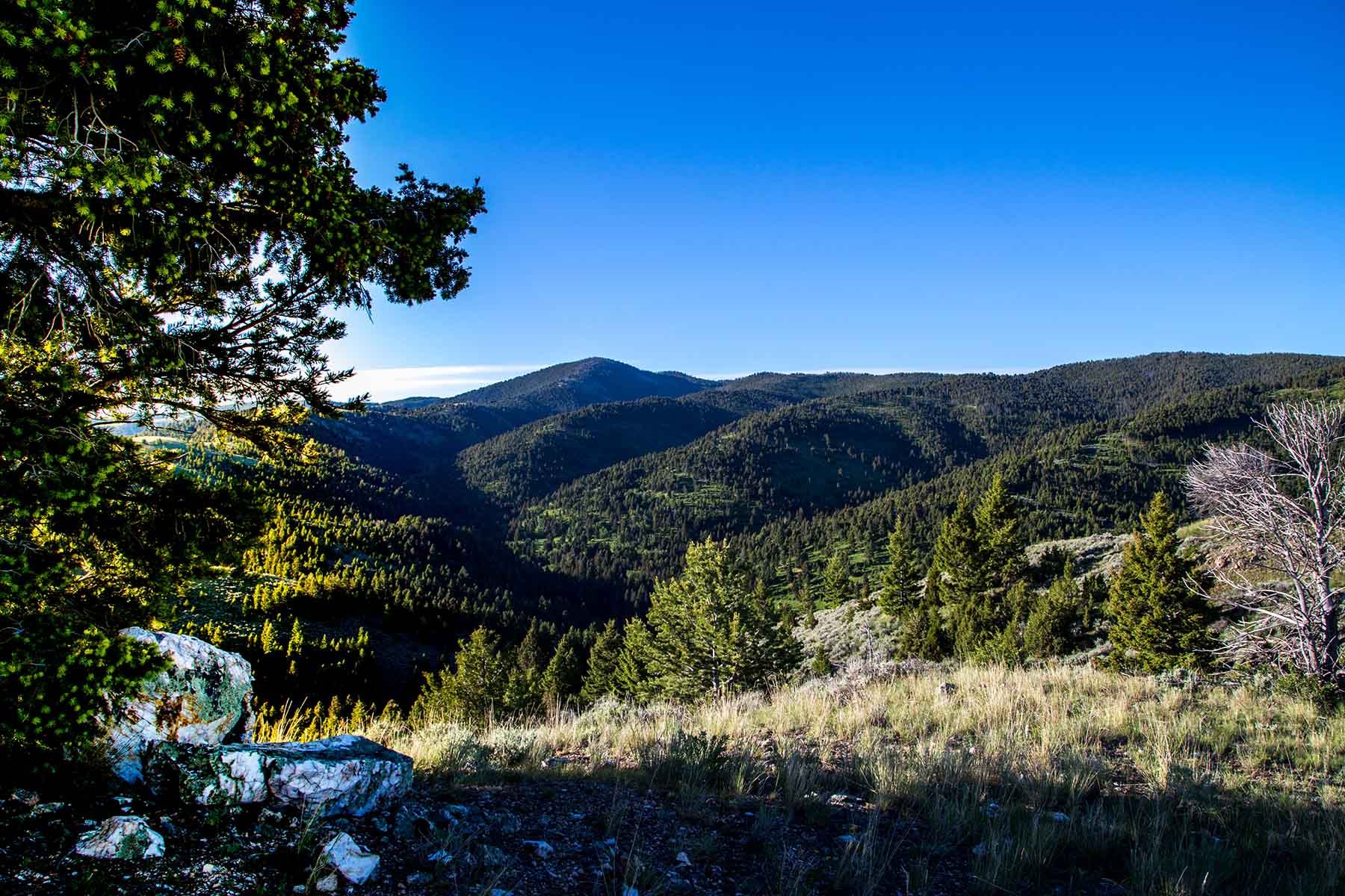 MTX Ranch property picture 14 of 44