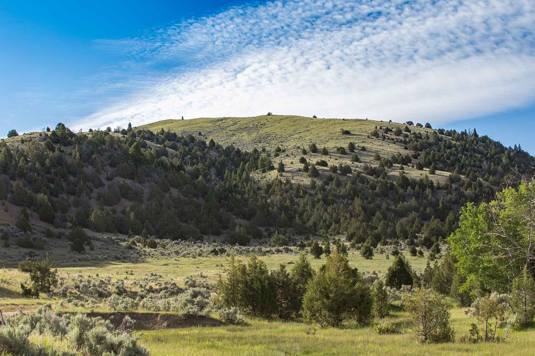 MTX Ranch property picture 4 of 44