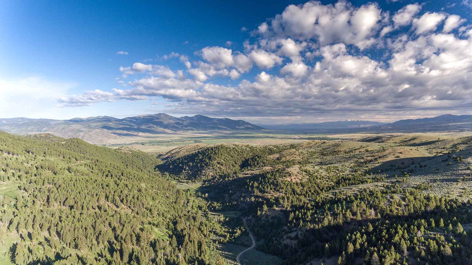 MTX Ranch property picture 6 of 44