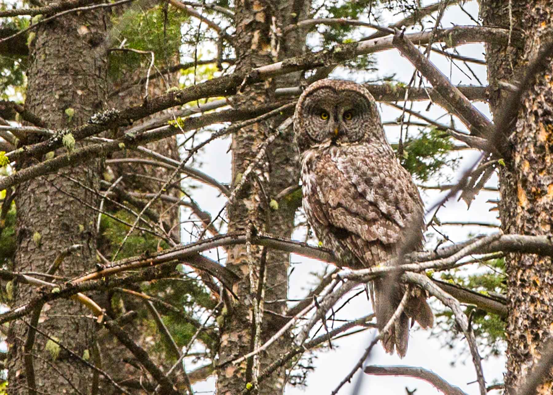 MTX Ranch property picture 32 of 44