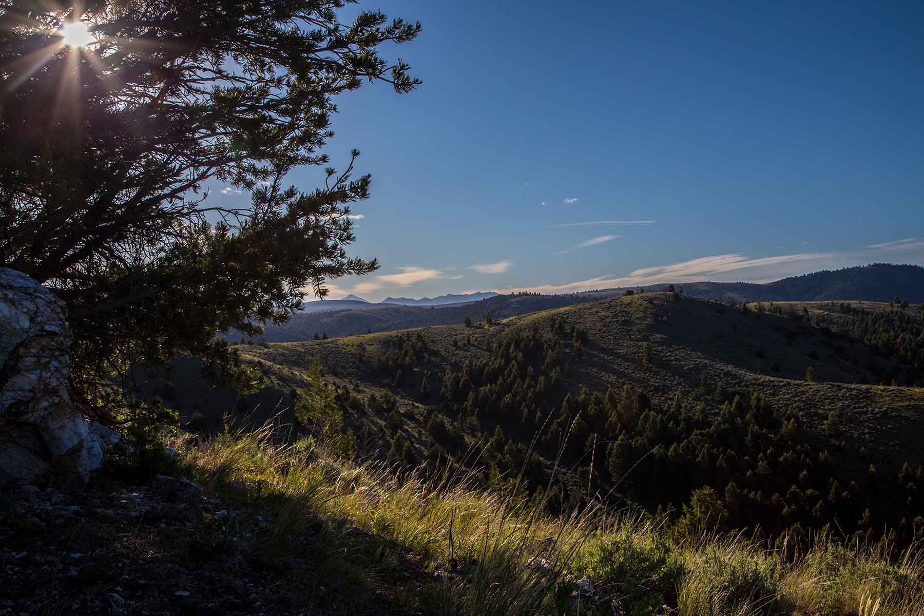 MTX Ranch property picture 21 of 44