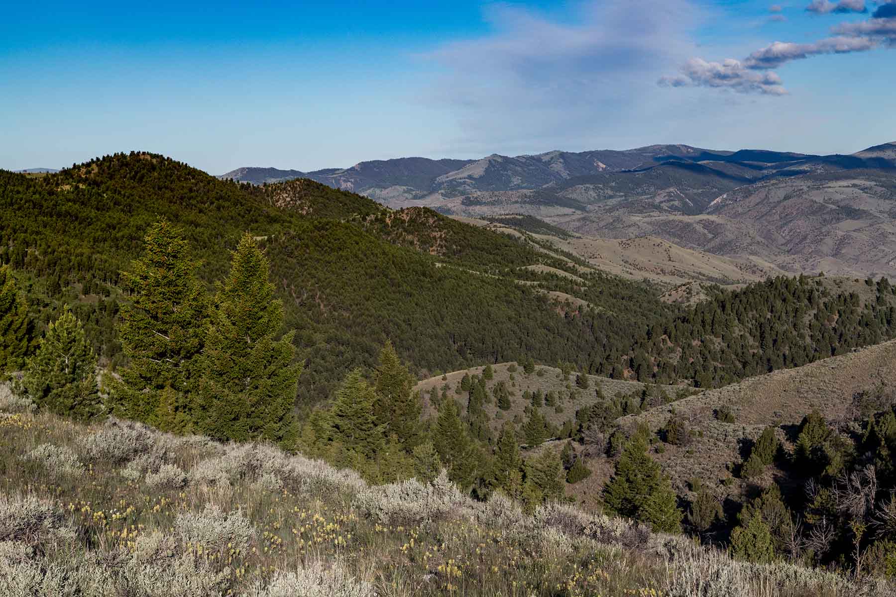 MTX Ranch property picture 15 of 44