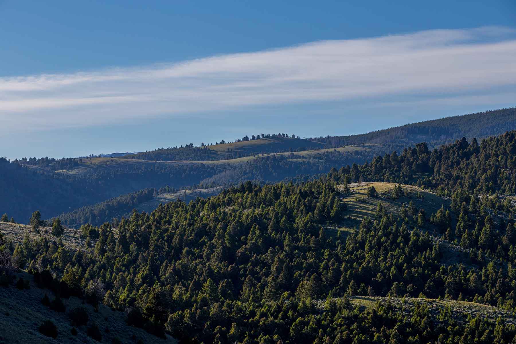 MTX Ranch property picture 36 of 44