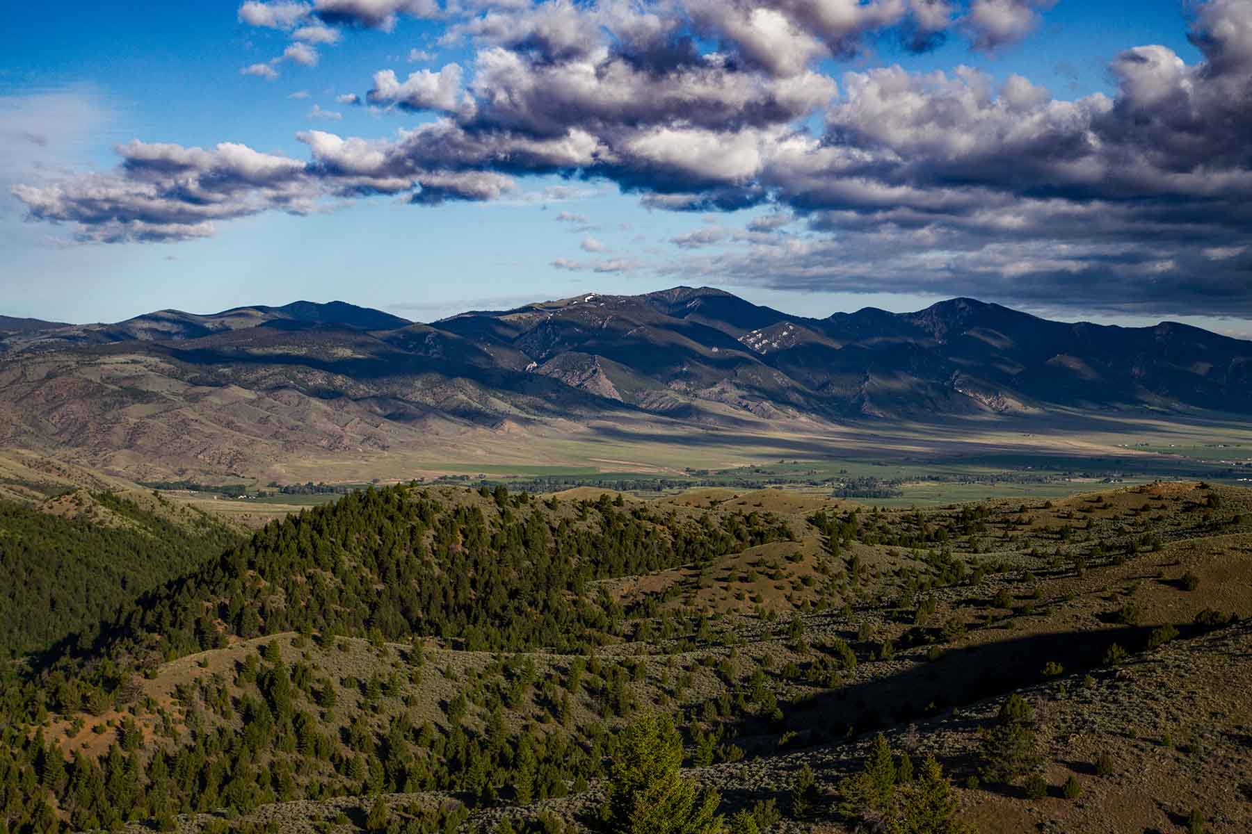 MTX Ranch property picture 33 of 44