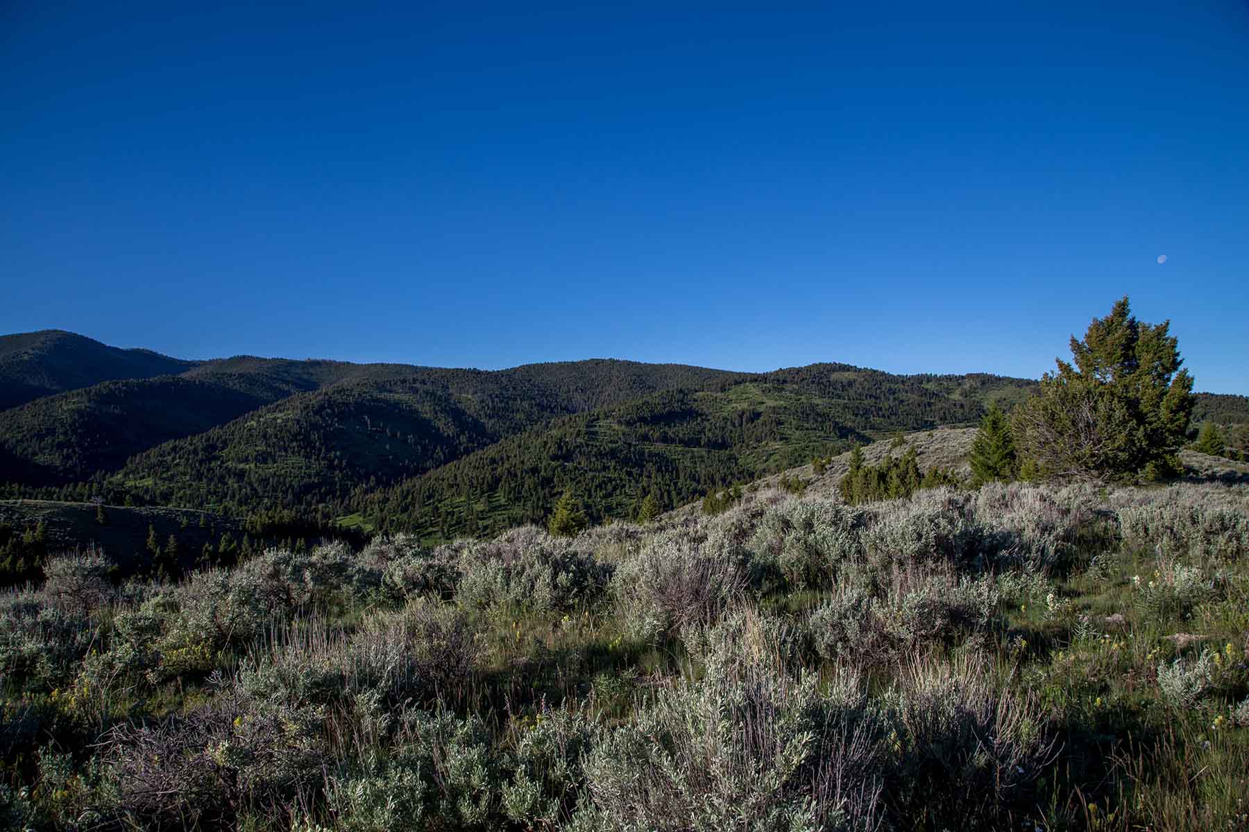 MTX Ranch property picture 25 of 44