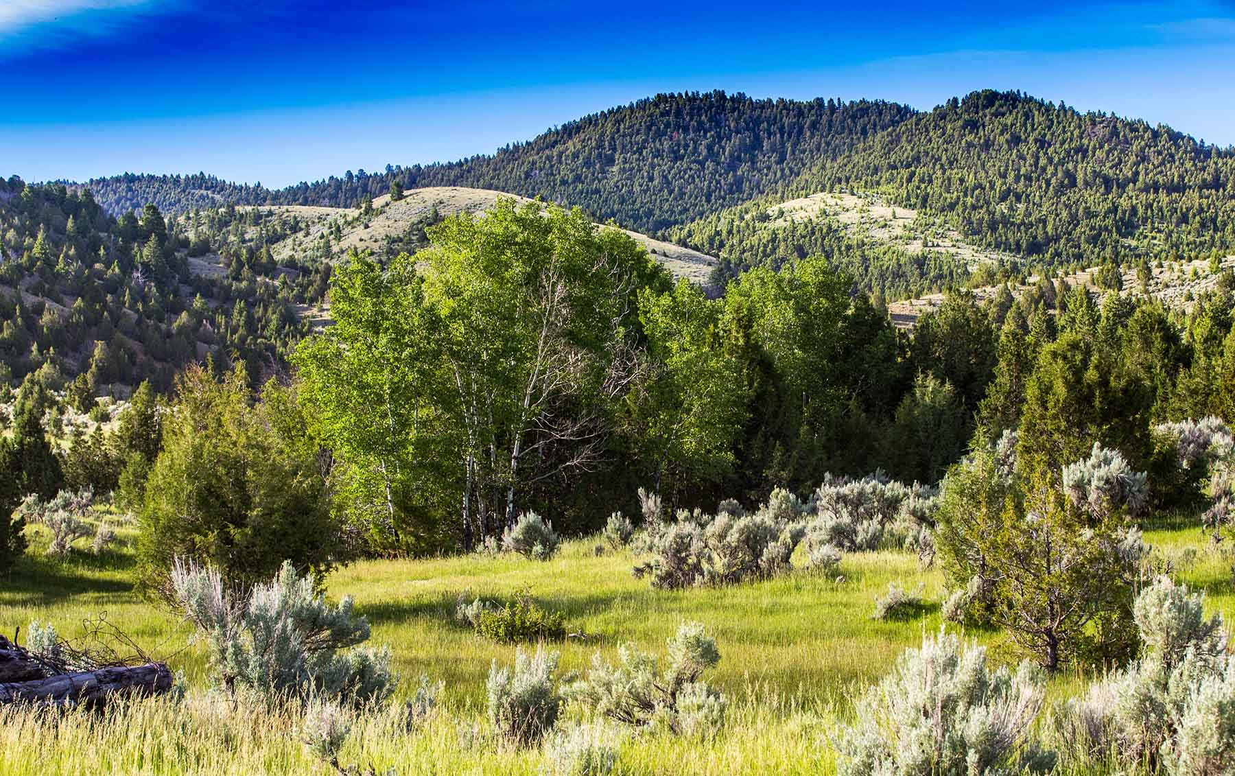 MTX Ranch property picture 42 of 44