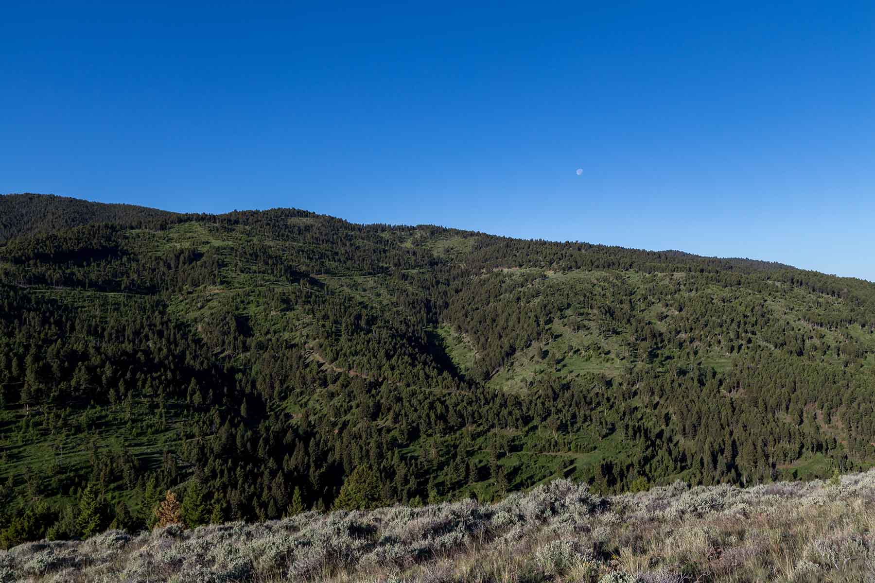 MTX Ranch property picture 35 of 44