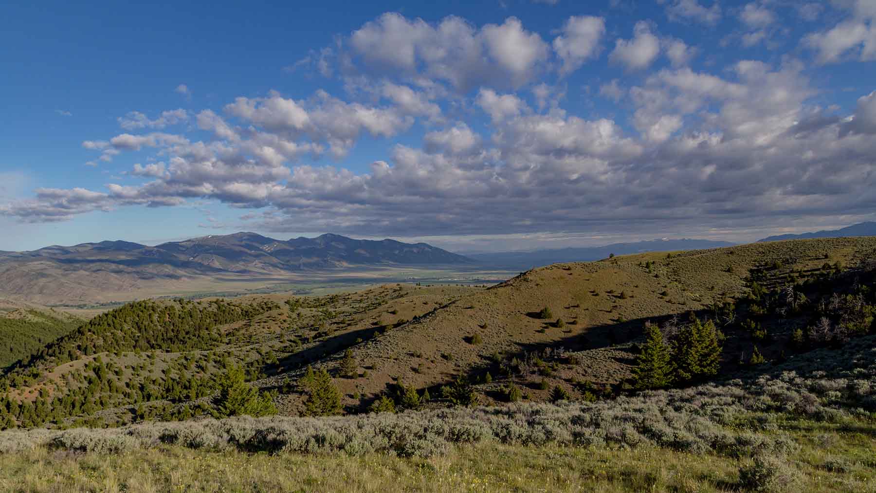 MTX Ranch property picture 34 of 44