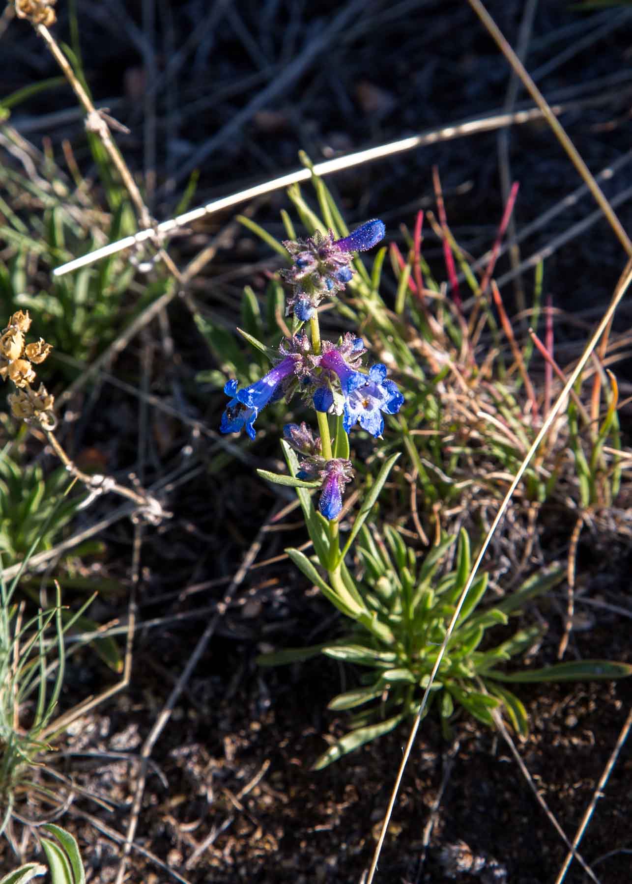 MTX Ranch property picture 13 of 44