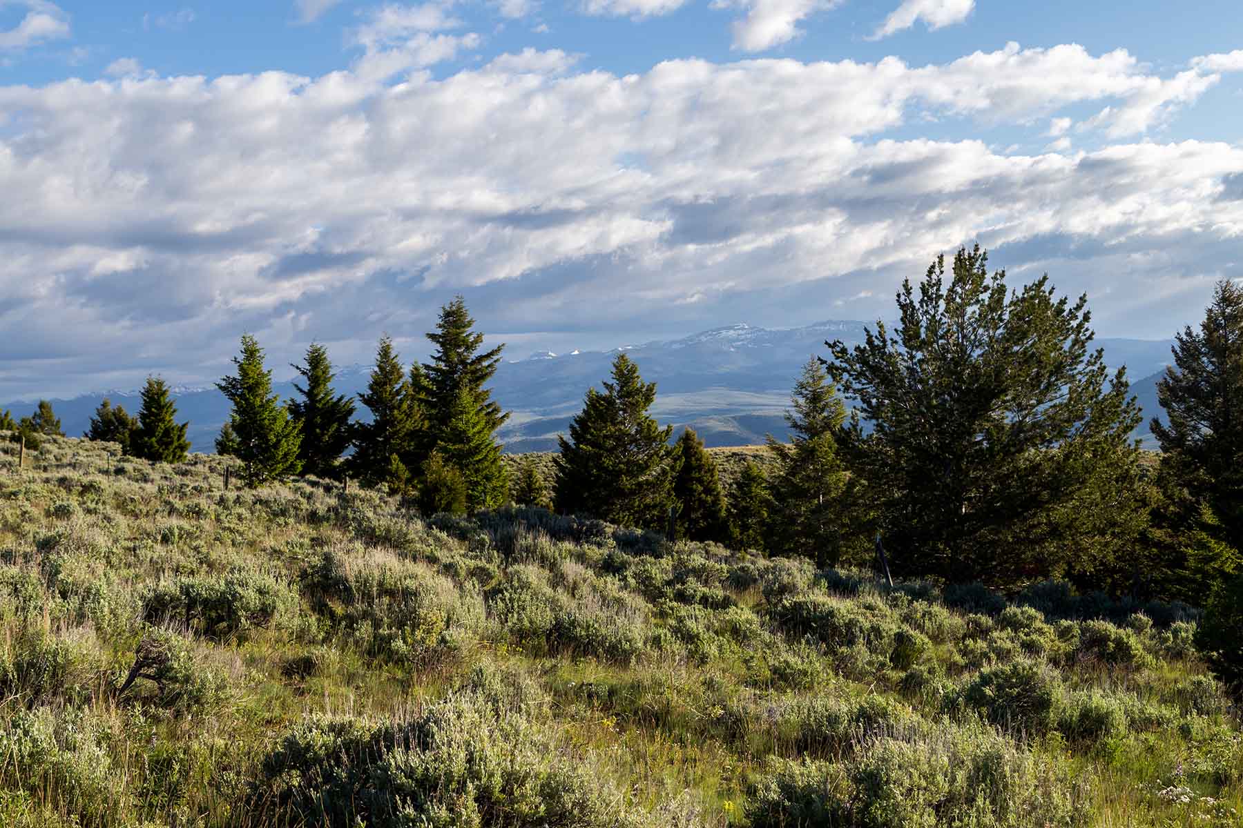 MTX Ranch property picture 2 of 44