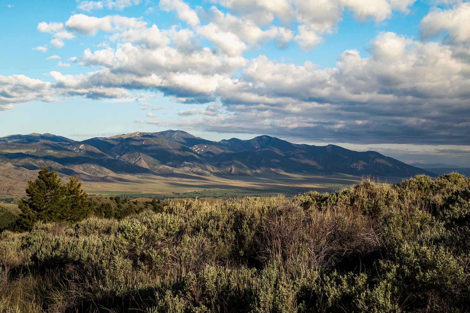 MTX Ranch property picture 26 of 44