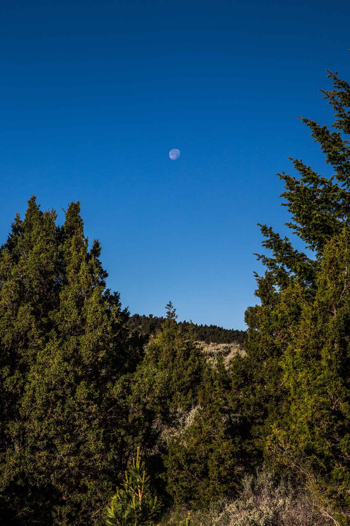 MTX Ranch property picture 10 of 44