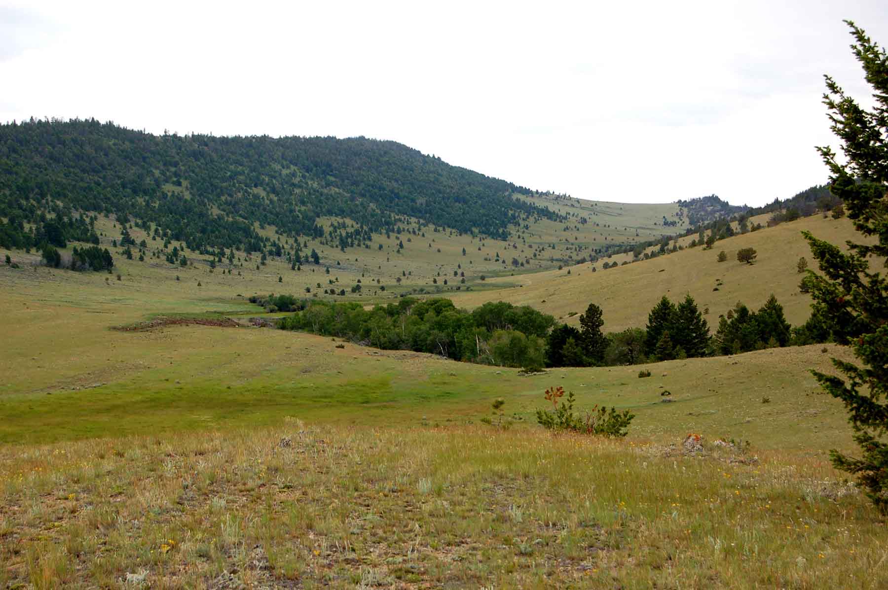 EBR - Kettle Hollow Unit property picture 3 of 13