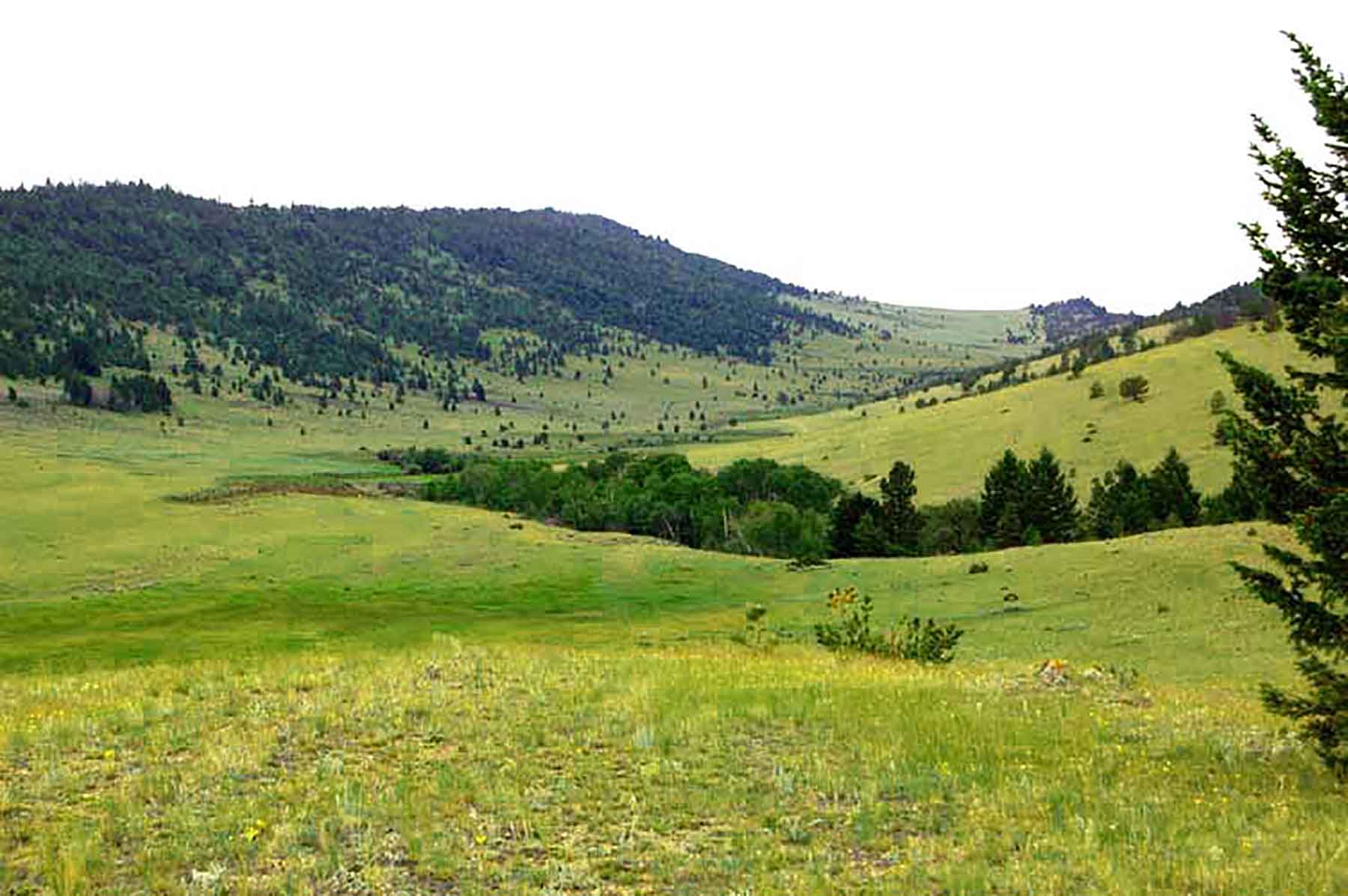 EBR - Kettle Hollow Unit property picture 13 of 13