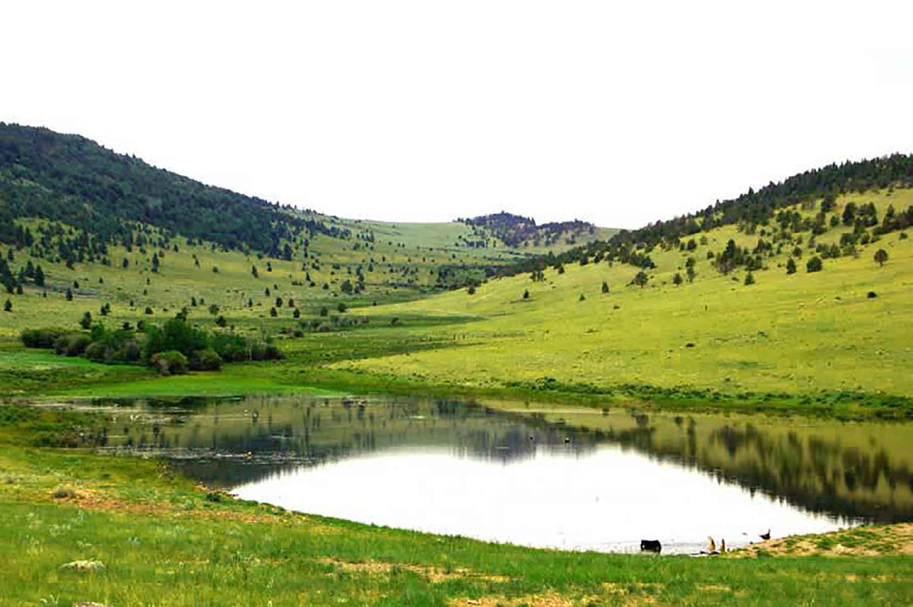 EBR - Kettle Hollow Unit property picture 7 of 13