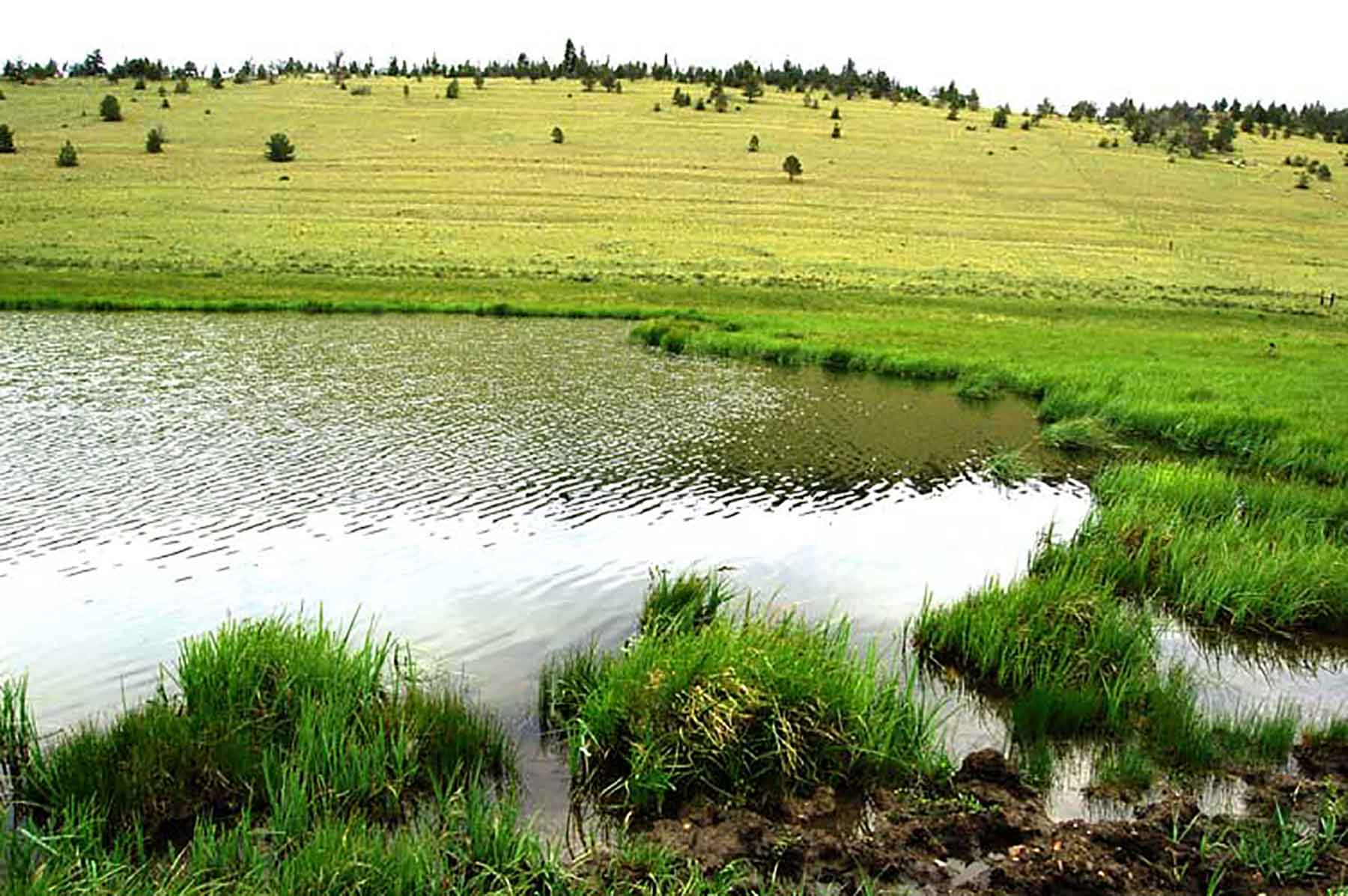 EBR - Kettle Hollow Unit property picture 5 of 13